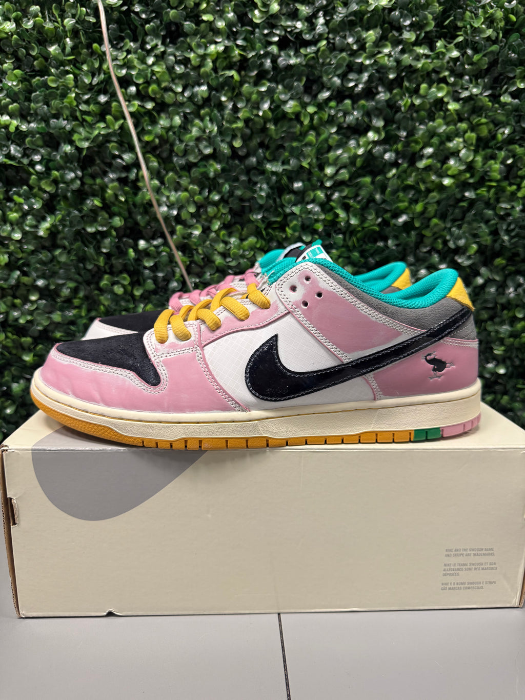 Nike SB Dunk Low "CSEF" Size 13 Preowned