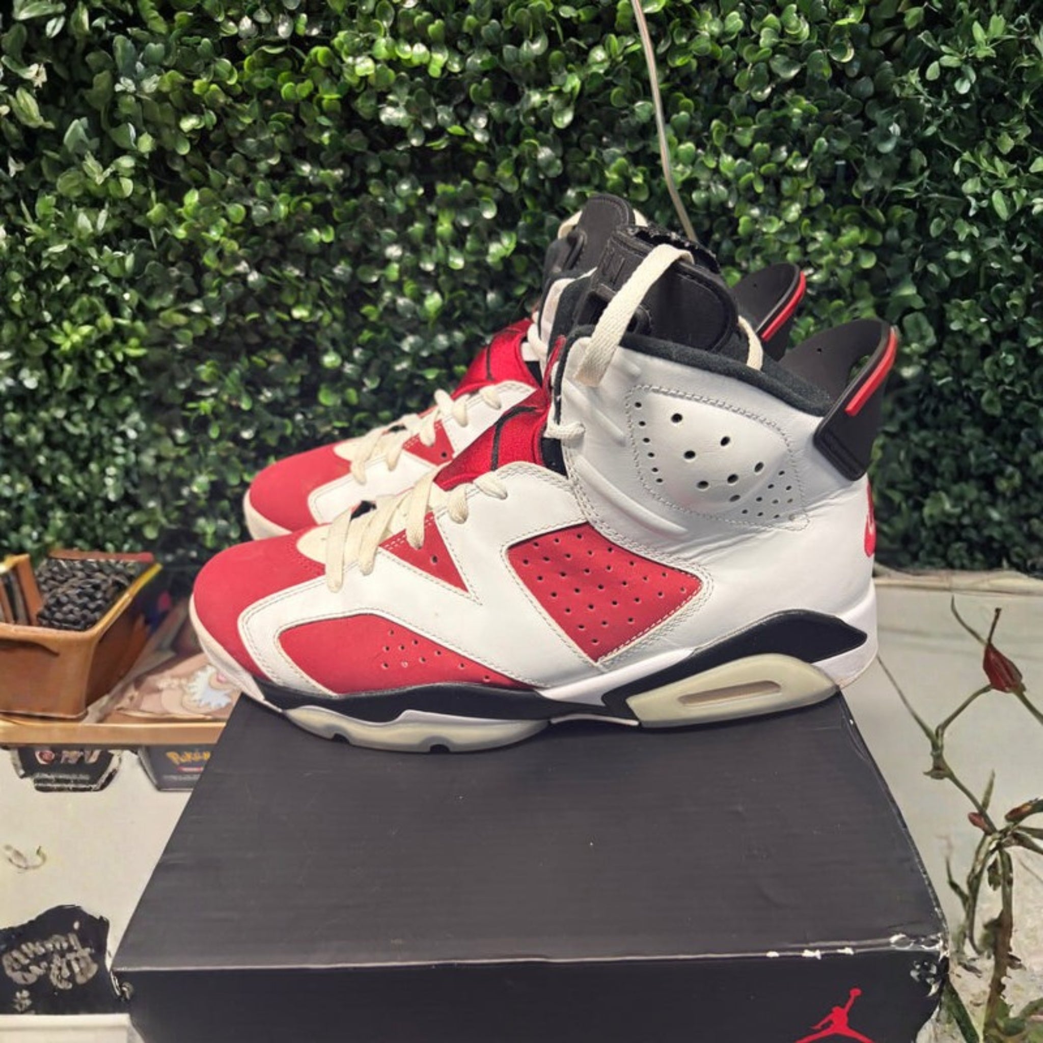 Jordan 6 "Carmine" Size 9.5 Preowned