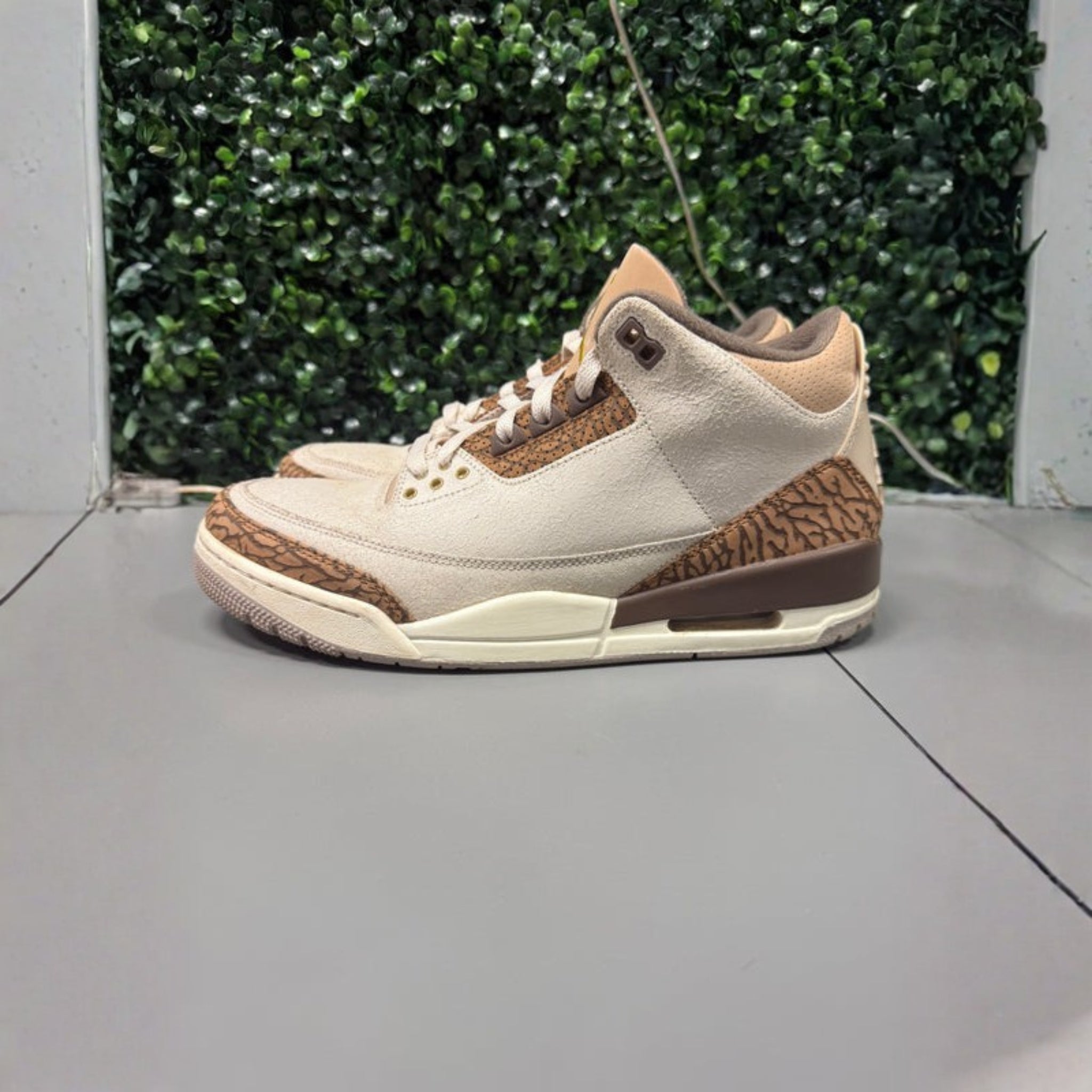 Jordan 3 "Palomino" Size 10.5 Preowned