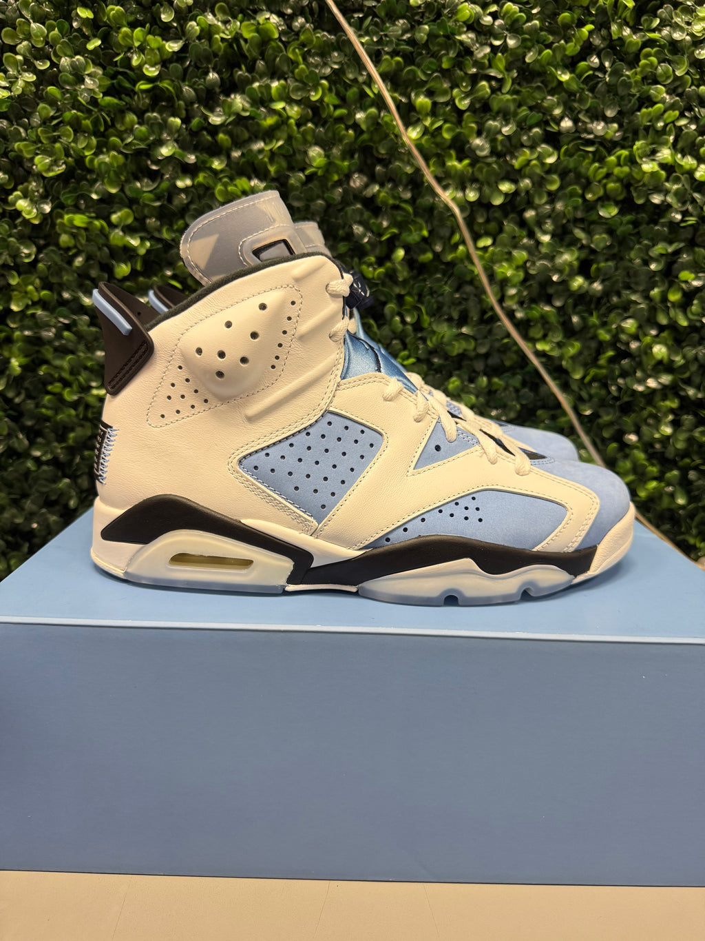 Jordan 6 "UNC" Size 8.5 Preowned
