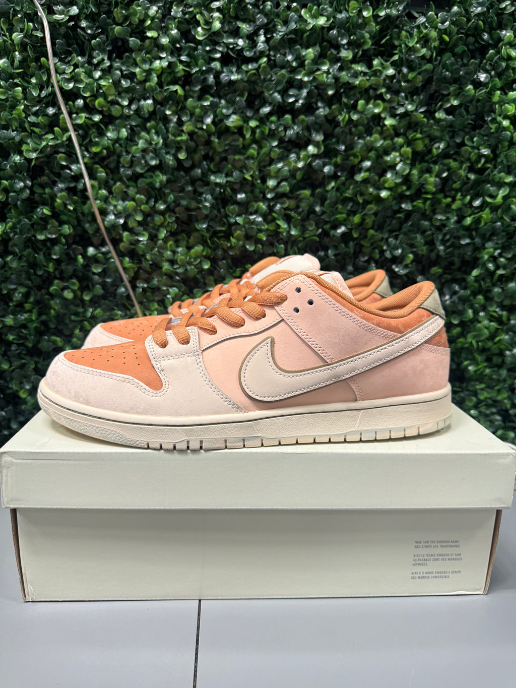 Nike SB Dunk Low "Trocadéro Gardens" Size 13 Preowned
