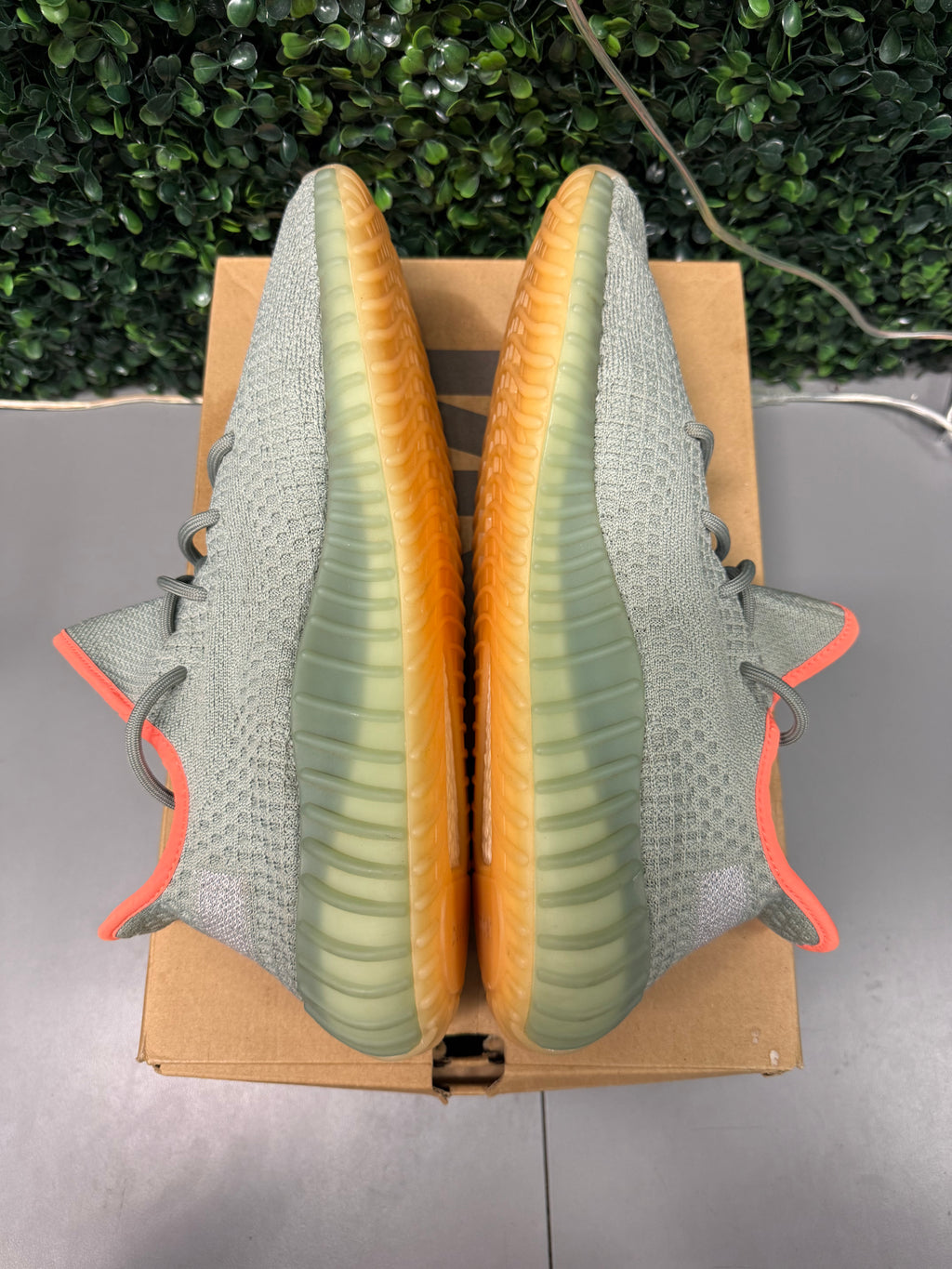 Yeezy 350 V2 "Desert Sage" Size 12.5 Preowned
