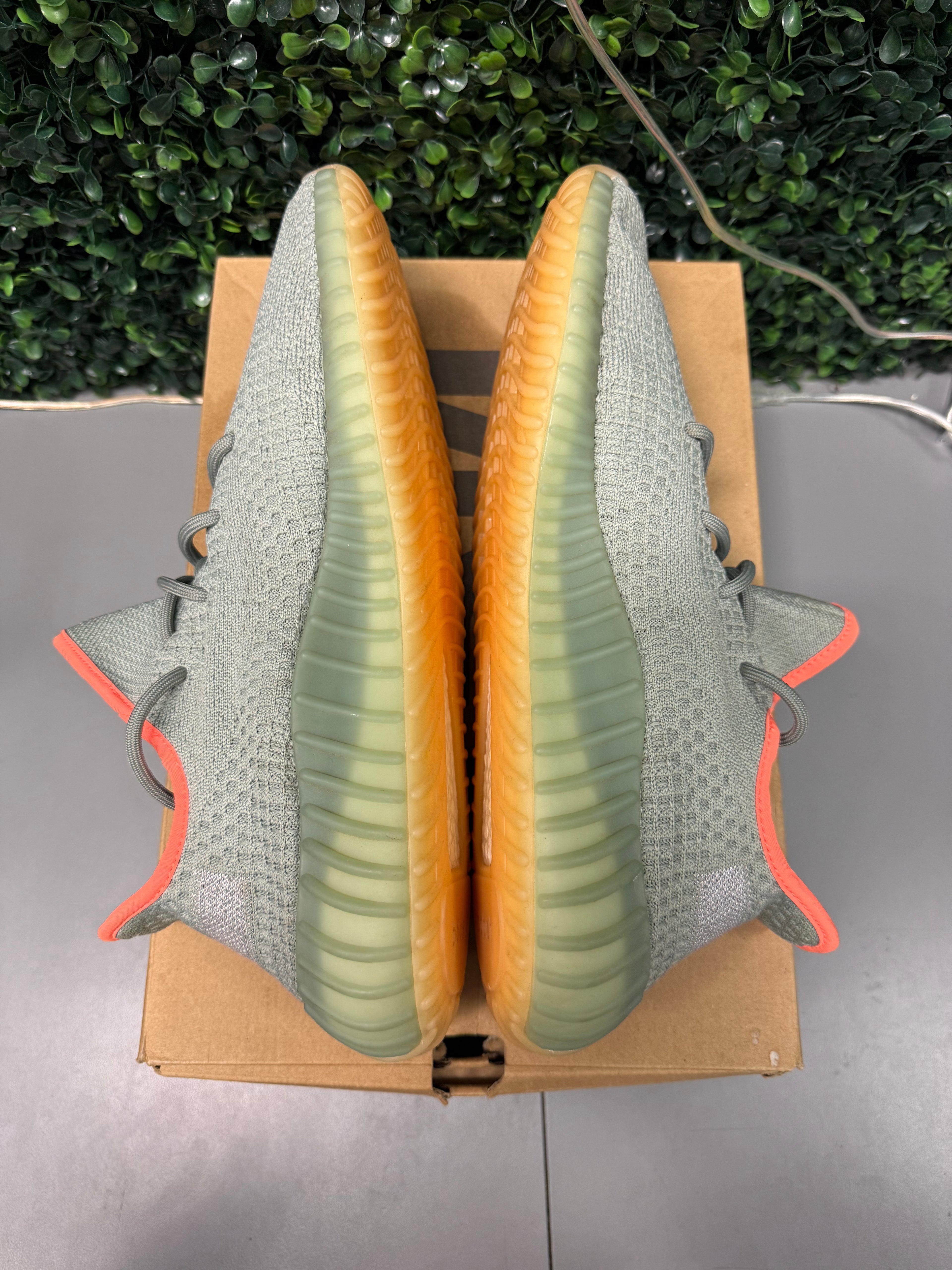 Yeezy 350 V2 "Desert Sage" Size 12.5 Preowned
