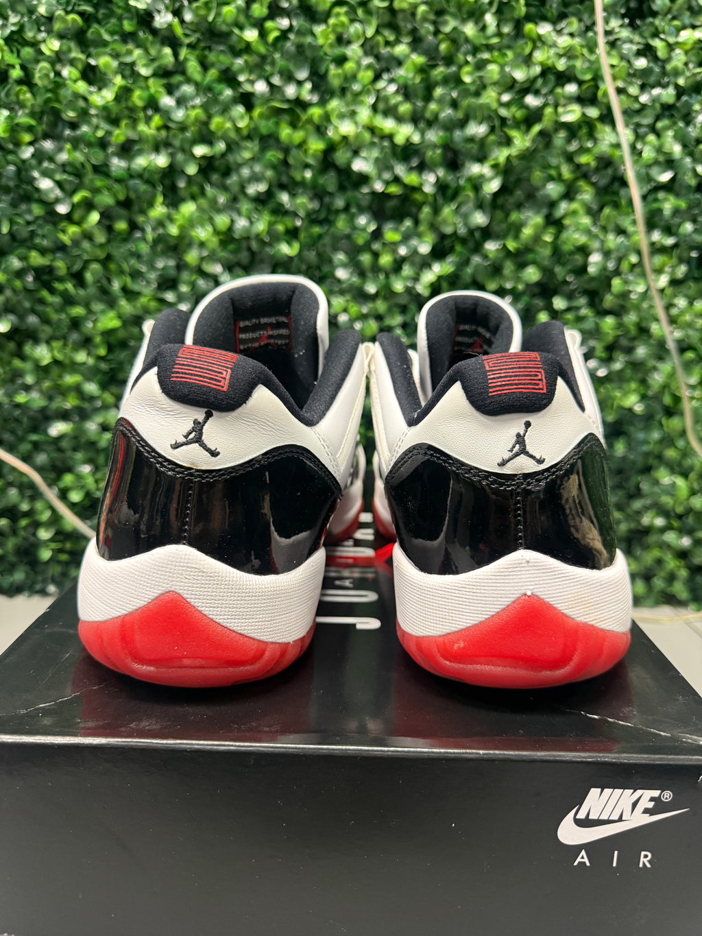 Jordan 11 Low "Concord Bred" Size 10 Preowned