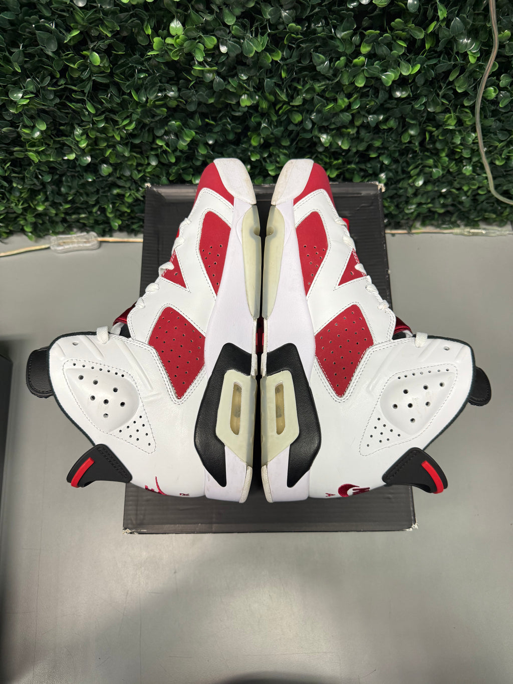Jordan 6 "Carmine" Size 10 Preowned