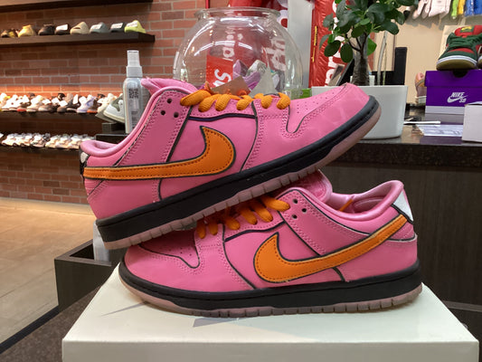 Nike Sb Dunk Low PowerPuff Girls “Blossom” Size 6 Pre Owned