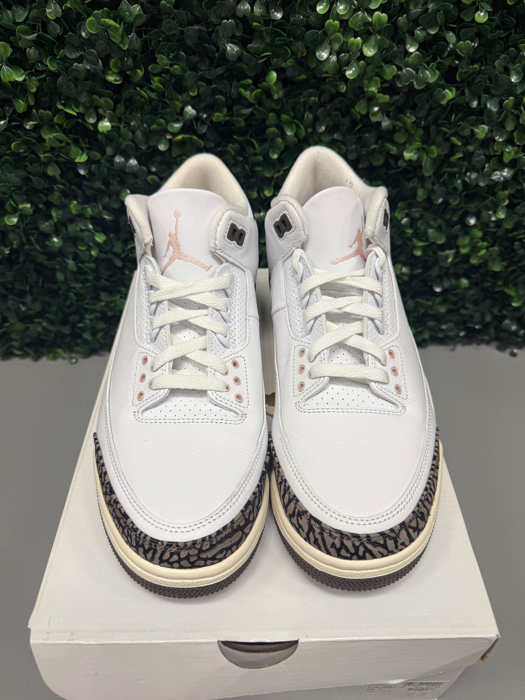 Jordan 3 "Neapolitan" Size 12W / 10.5M Preowned
