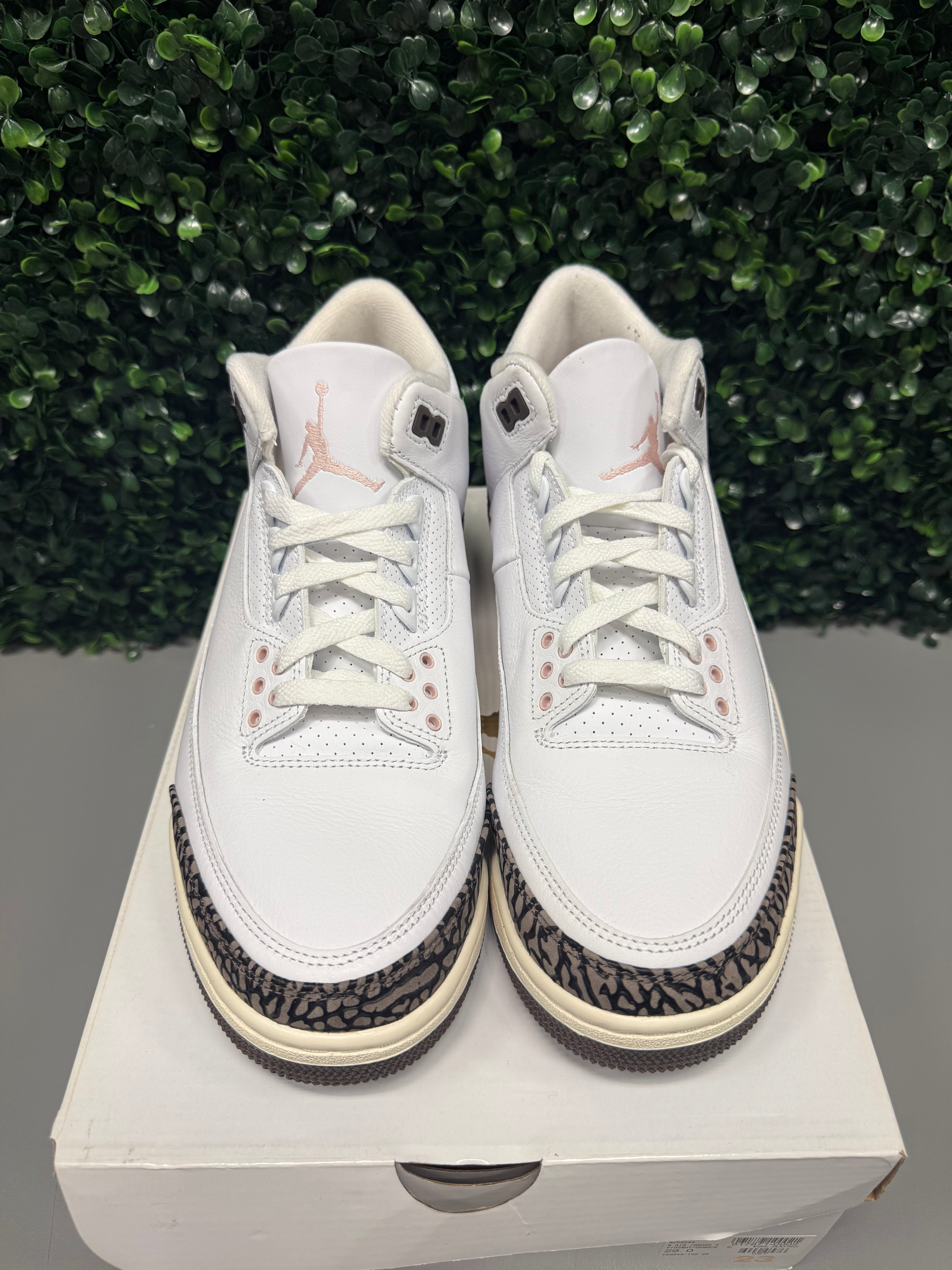 Jordan 3 "Neapolitan" Size 12W / 10.5M Preowned