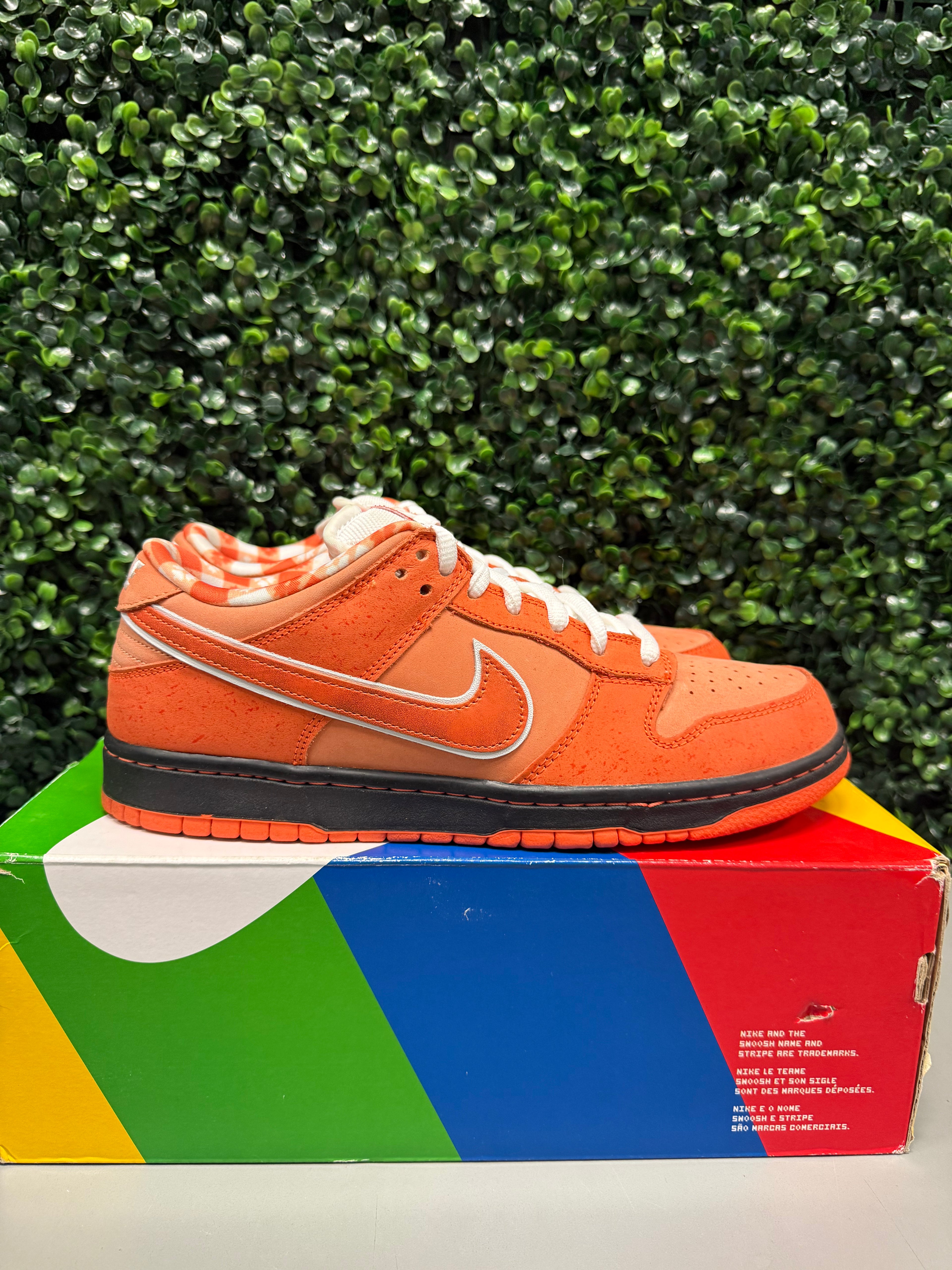 Nike SB Dunk Low "Orange Lobster" Size 10 Preowned