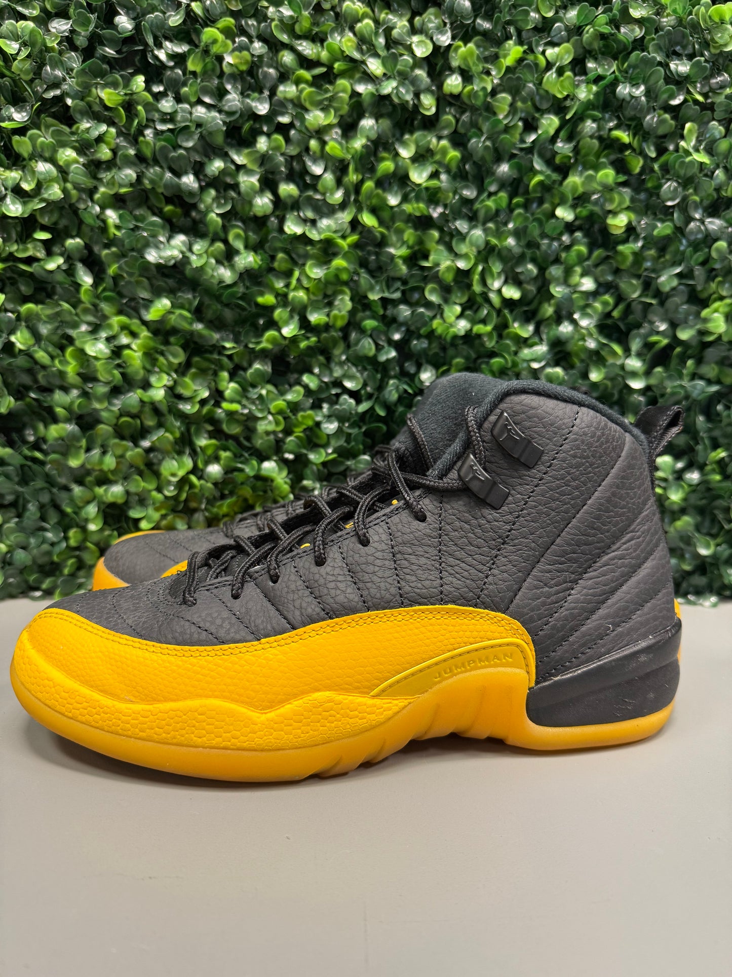 Jordan 12 "Black University Gold" Size 6.5Y Preowned