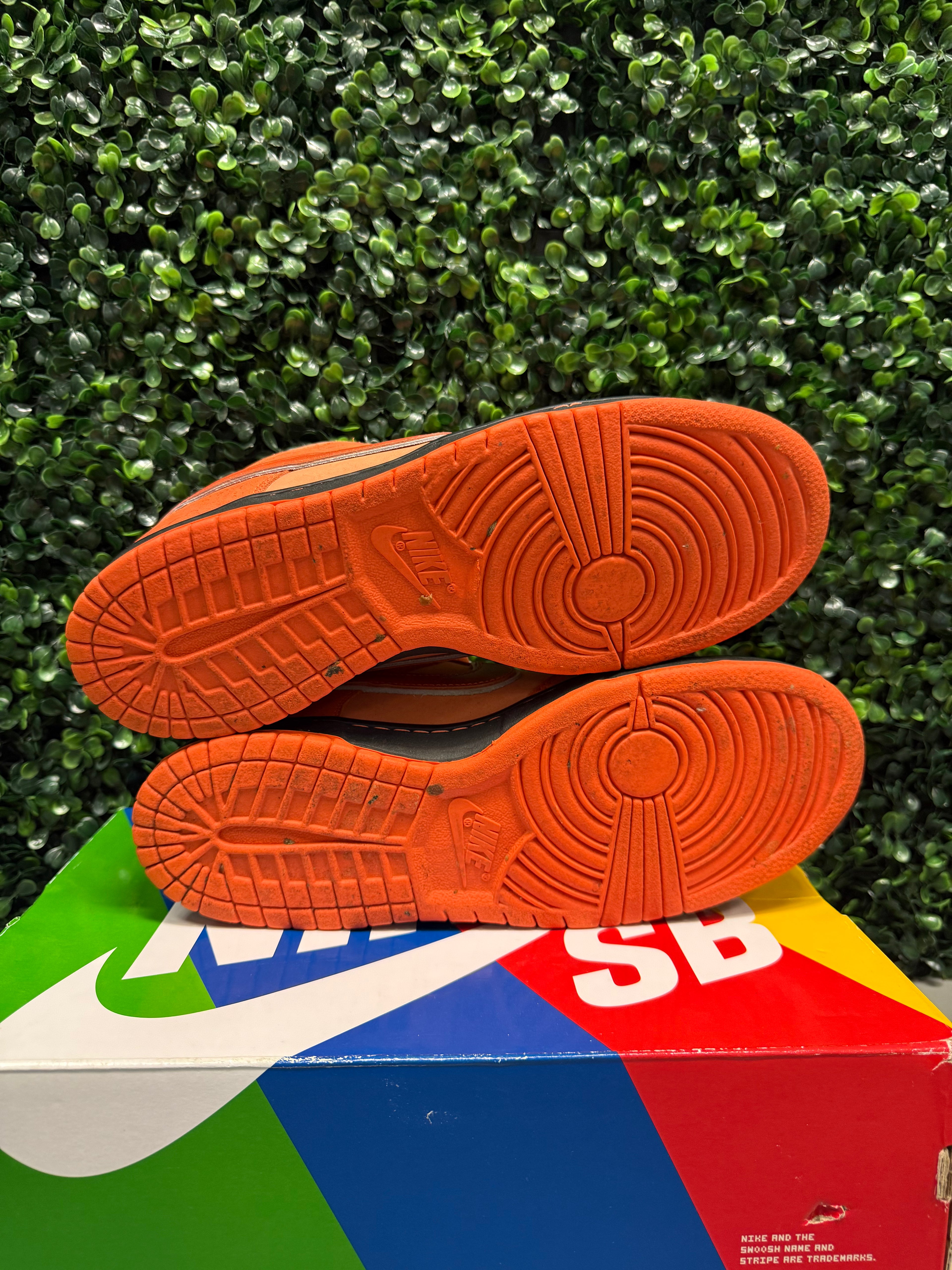 Nike SB Dunk Low "Orange Lobster" Size 10 Preowned