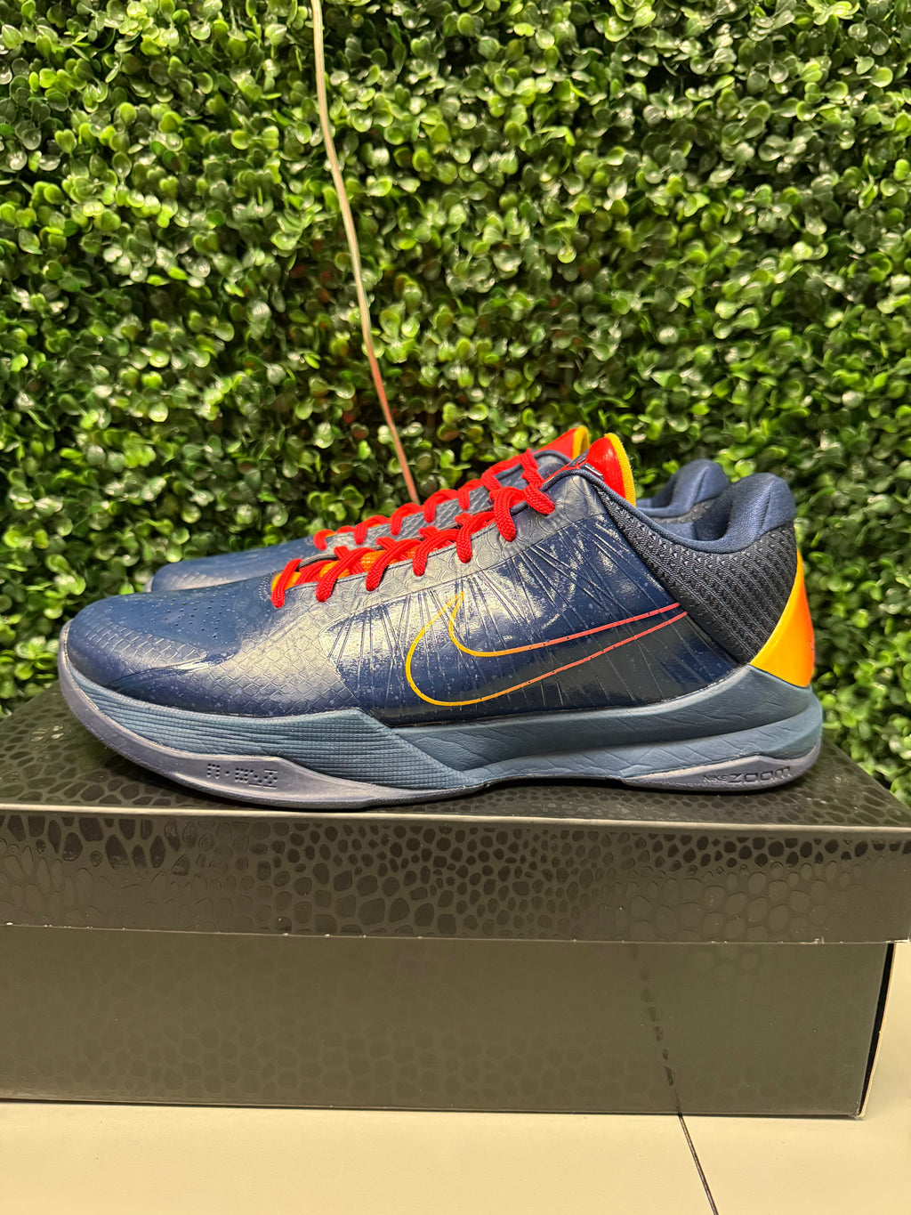 Nike Kobe 5 Protro Caitlin Clark "Indiana Fever" Size 11 Preowned