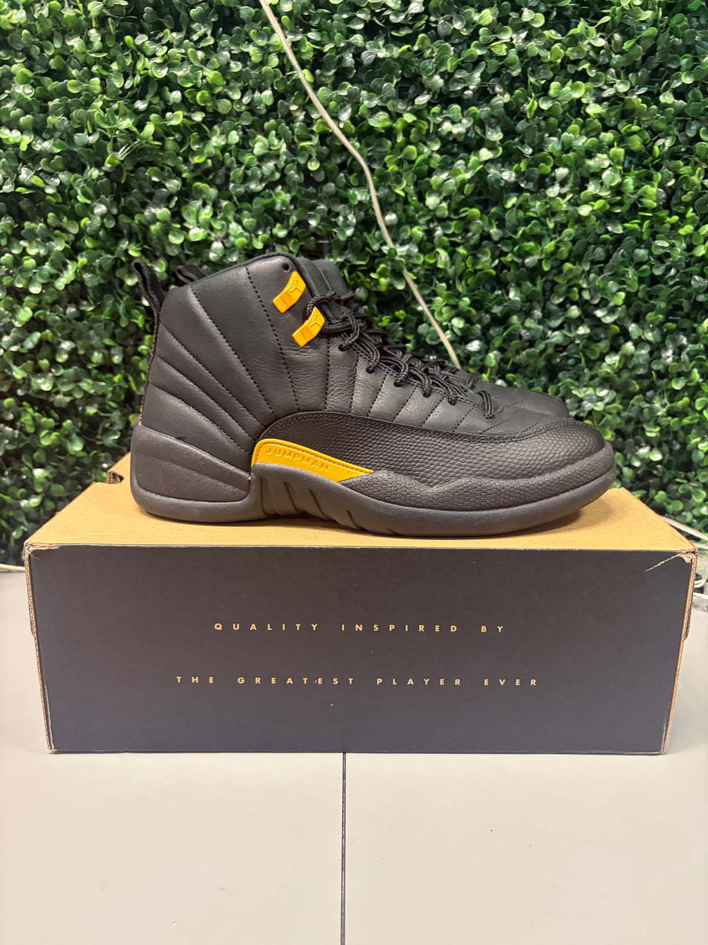 Jordan 12 "Black Taxi" Size 9.5 Preowned