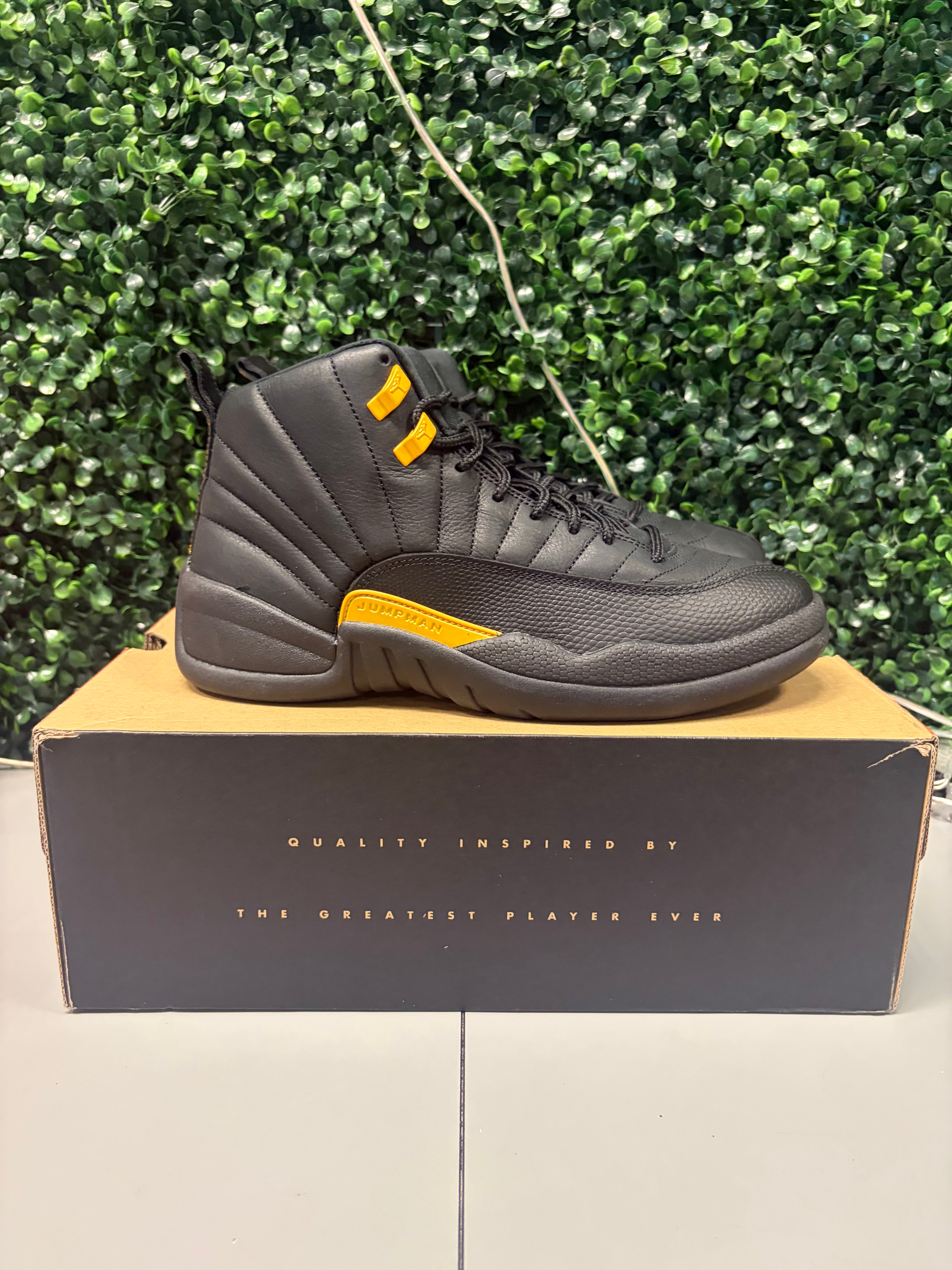 Jordan 12 "Black Taxi" Size 9.5 Preowned
