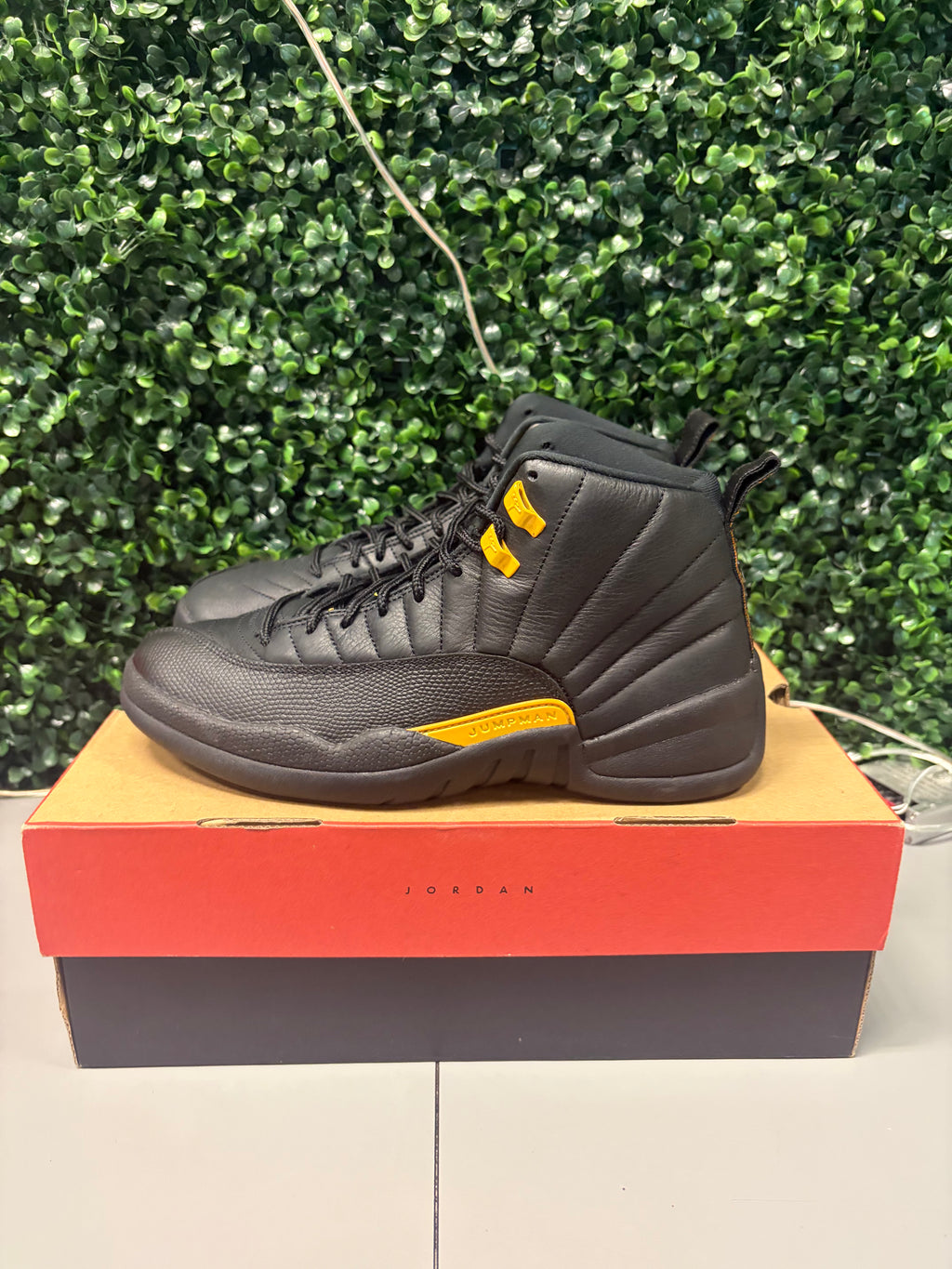Jordan 12 "Black Taxi" Size 9.5 Preowned