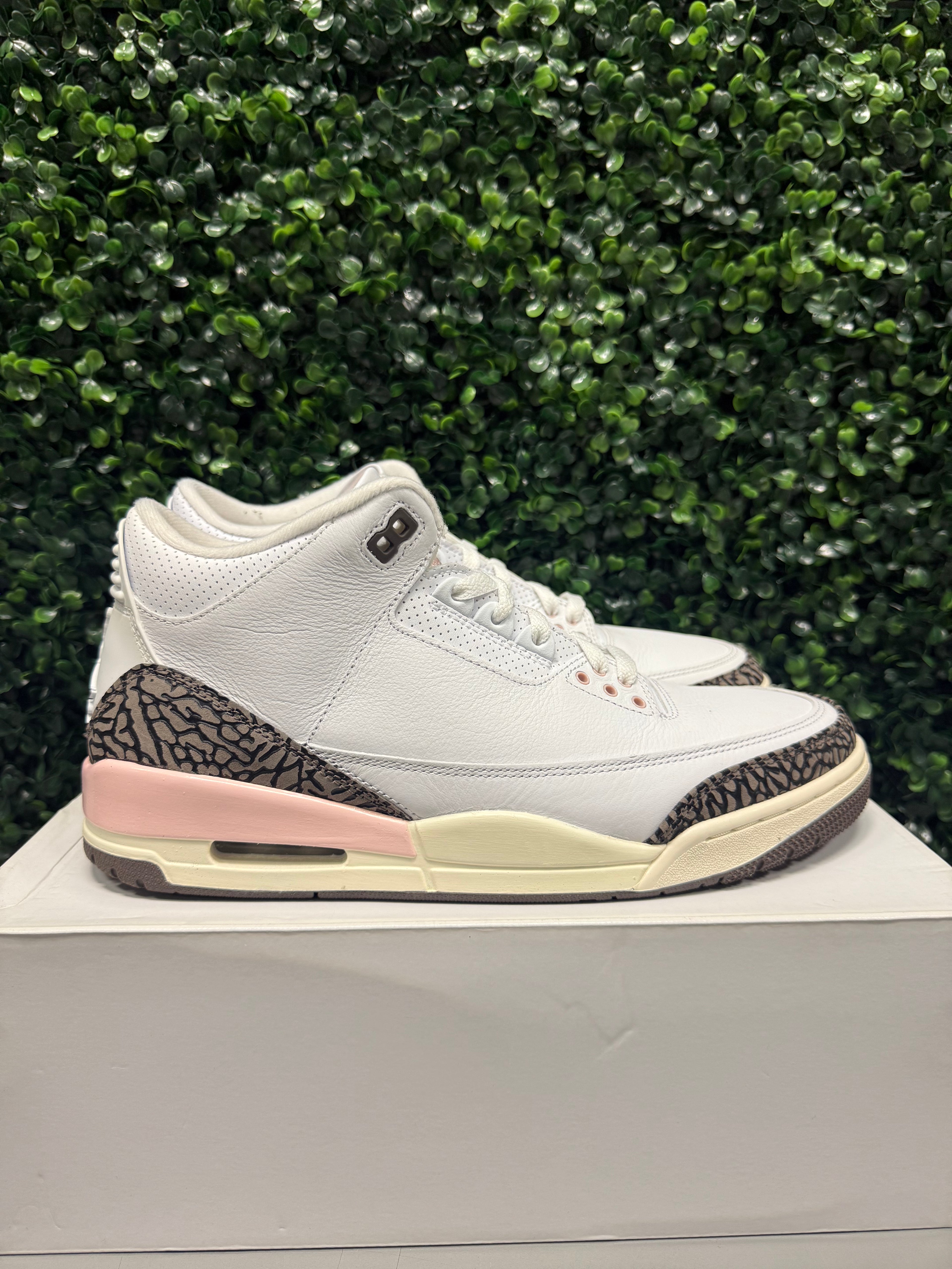 Jordan 3 "Neapolitan" Size 12W / 10.5M Preowned