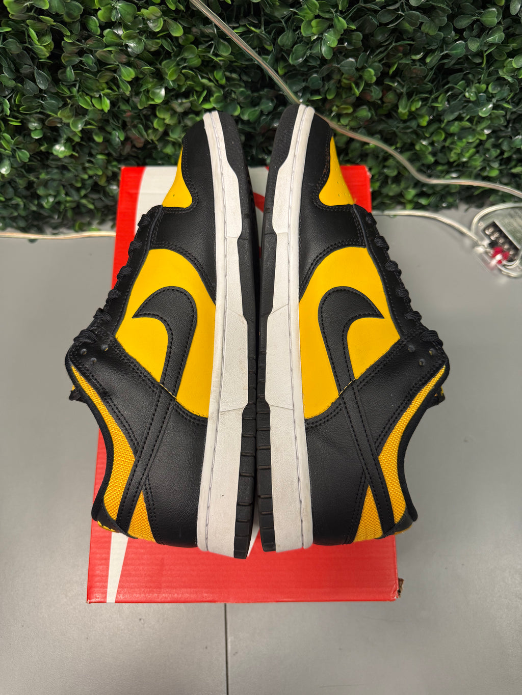 Nike Dunk Low "Reverse Goldenrod" Size 9 Preowned