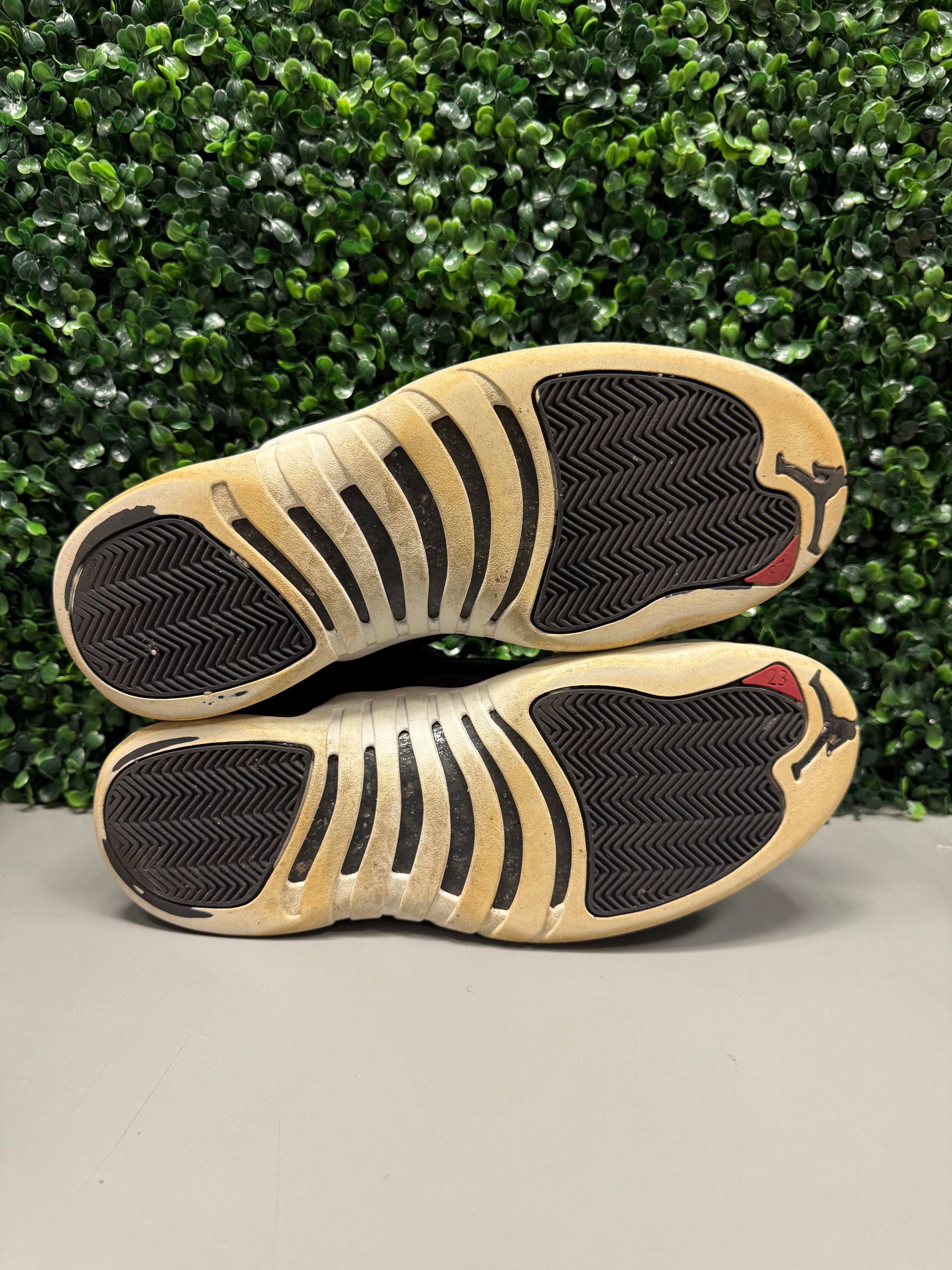 Jordan 12 "Nylon" Size 12 Preowned