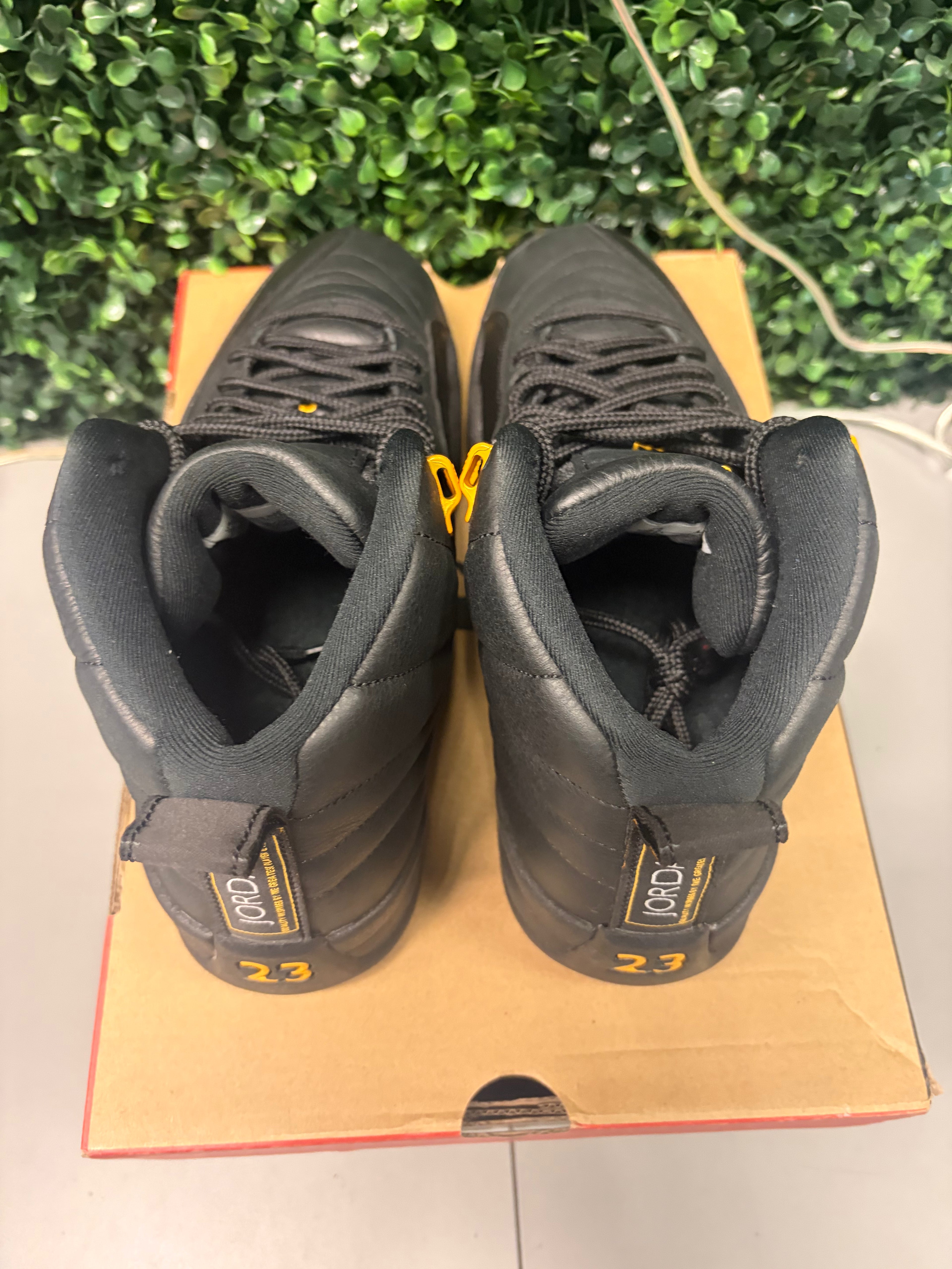 Jordan 12 "Black Taxi" Size 9.5 Preowned