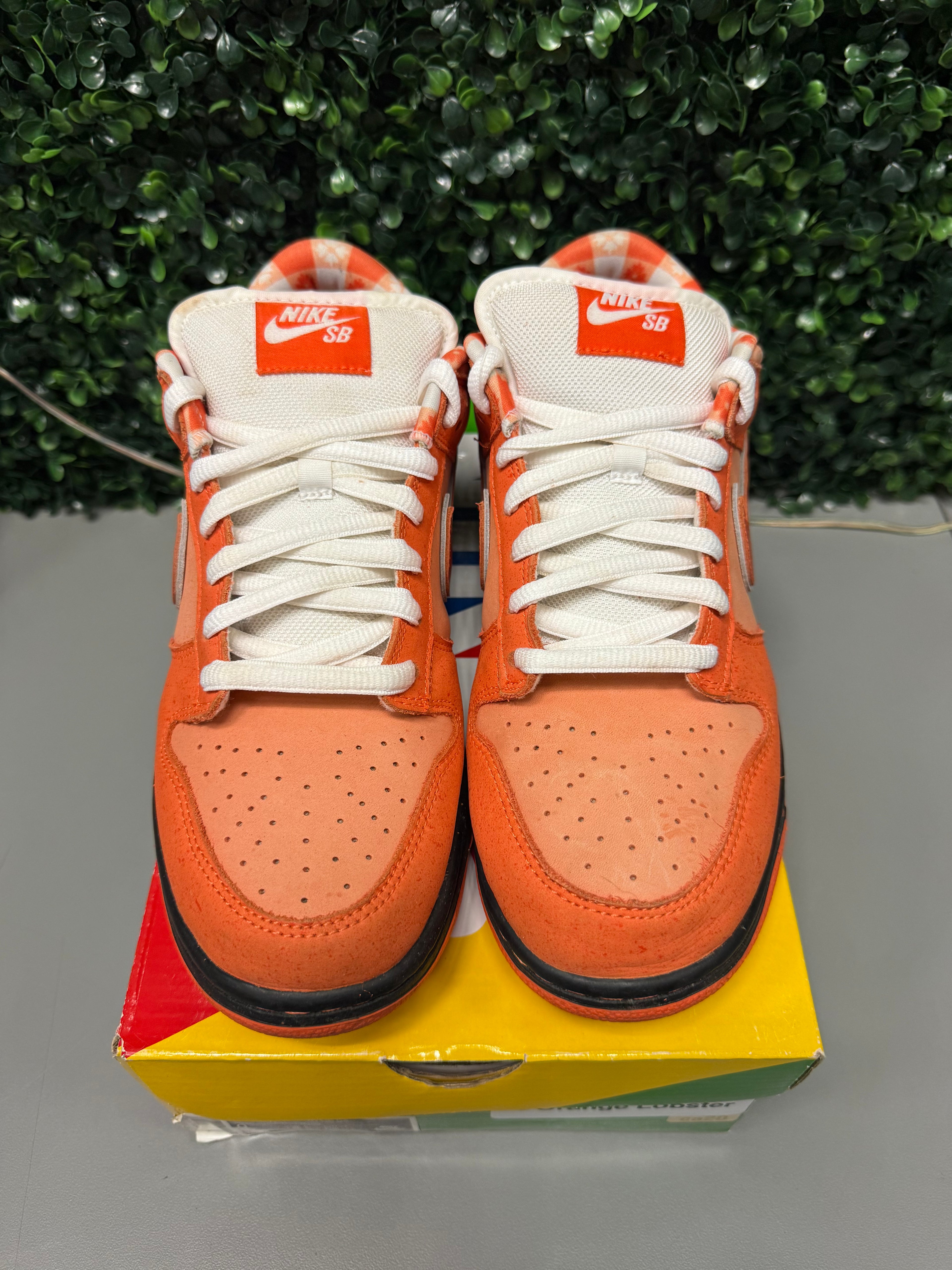 Nike SB Dunk Low "Orange Lobster" Size 9 Preowned