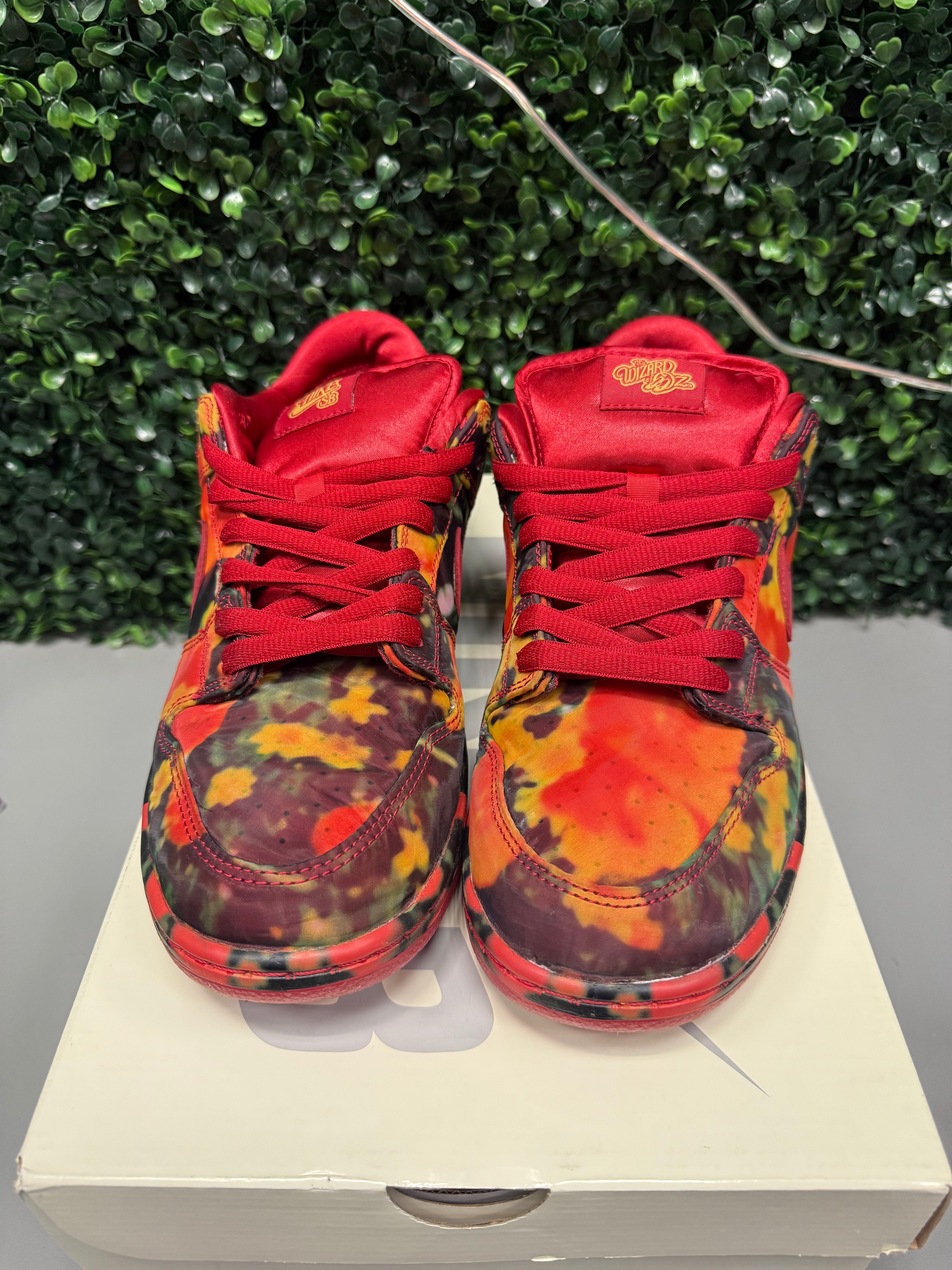 Nike SB Dunk Low "Wizard Of Oz" Size 10.5 Preowned