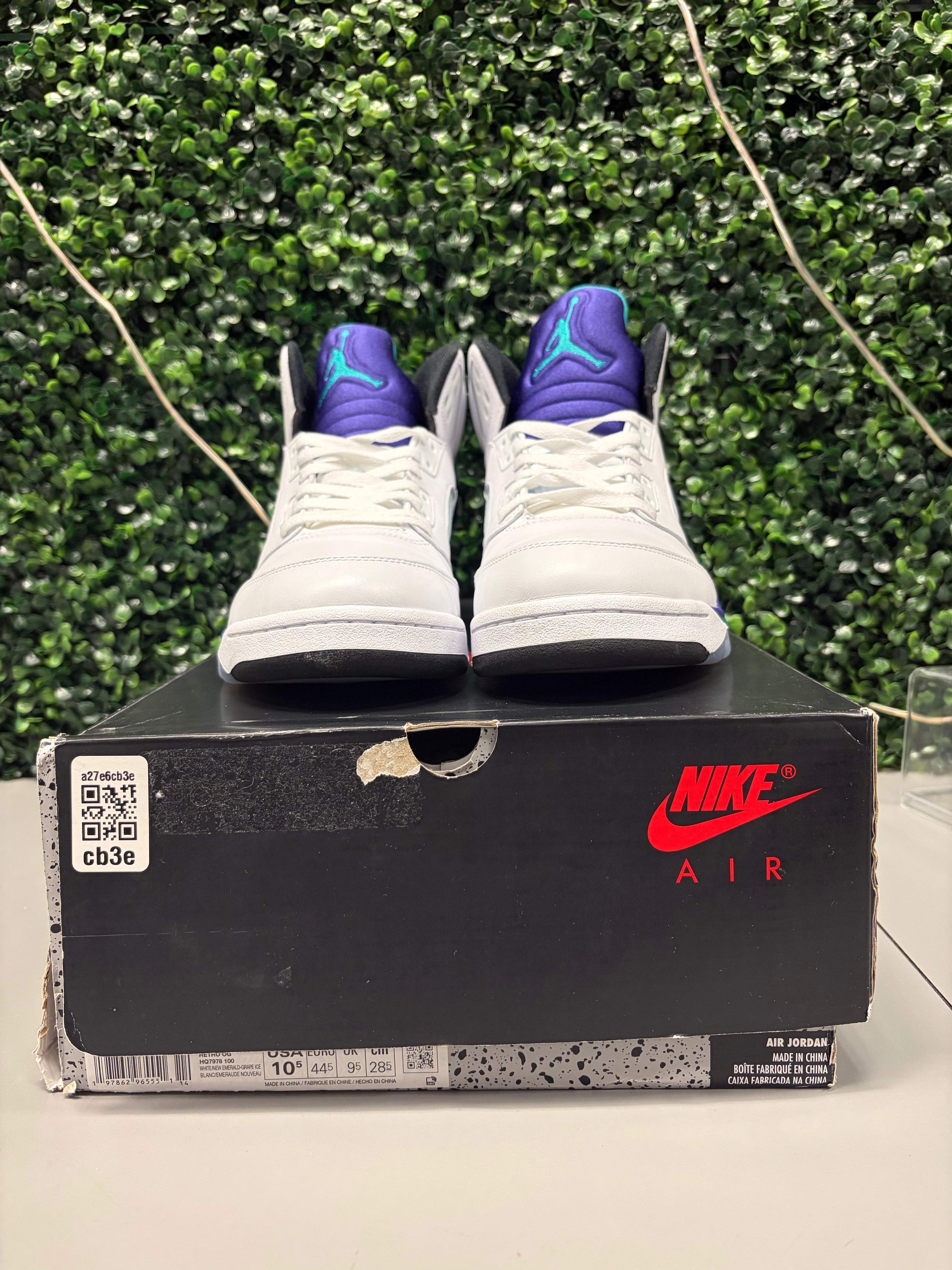 Jordan 5 Retro "Grape" Size 10.5 Preowned