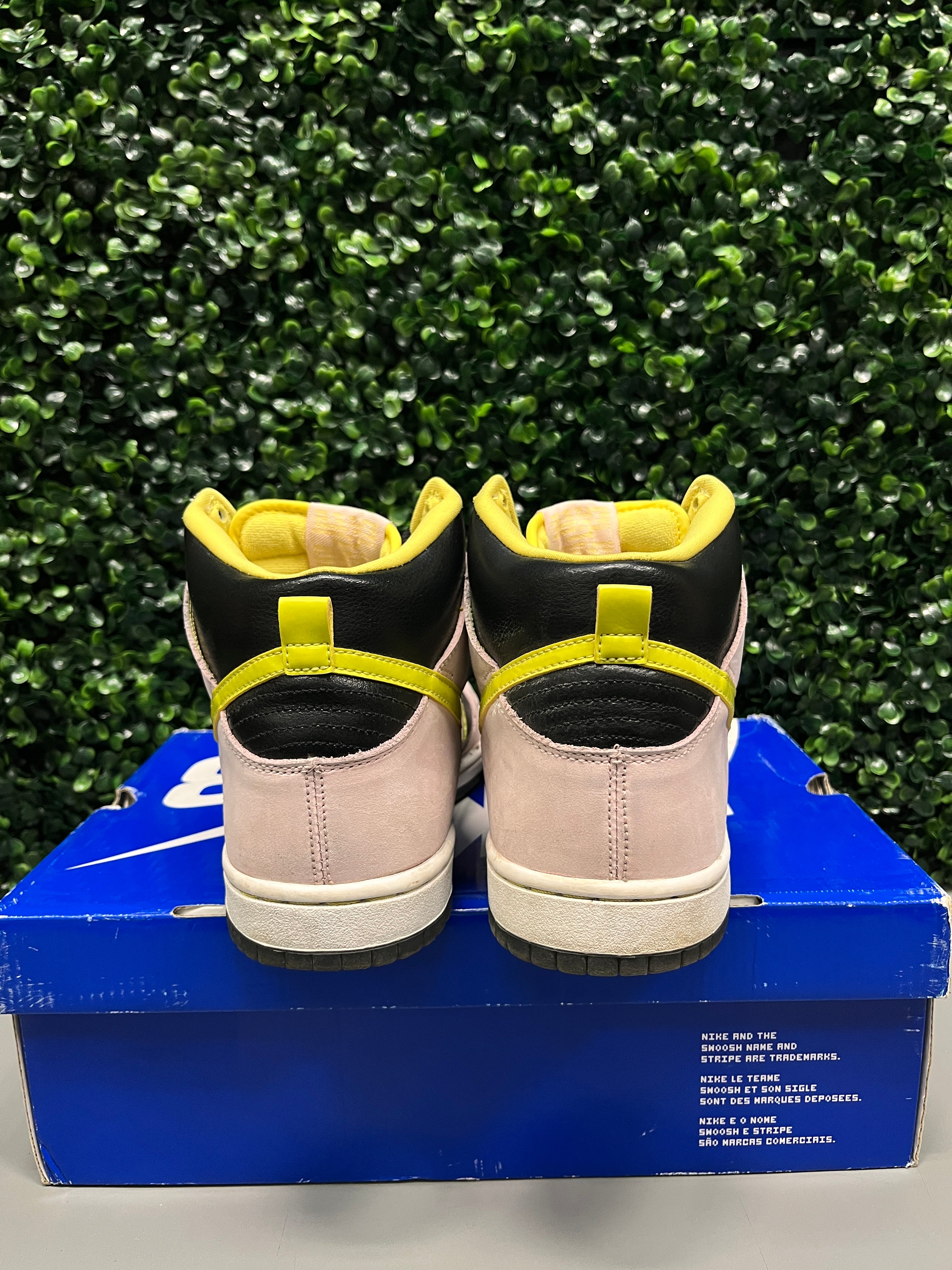 Nike SB Dunk High "Miss Piggy" Size 10.5 Preowned