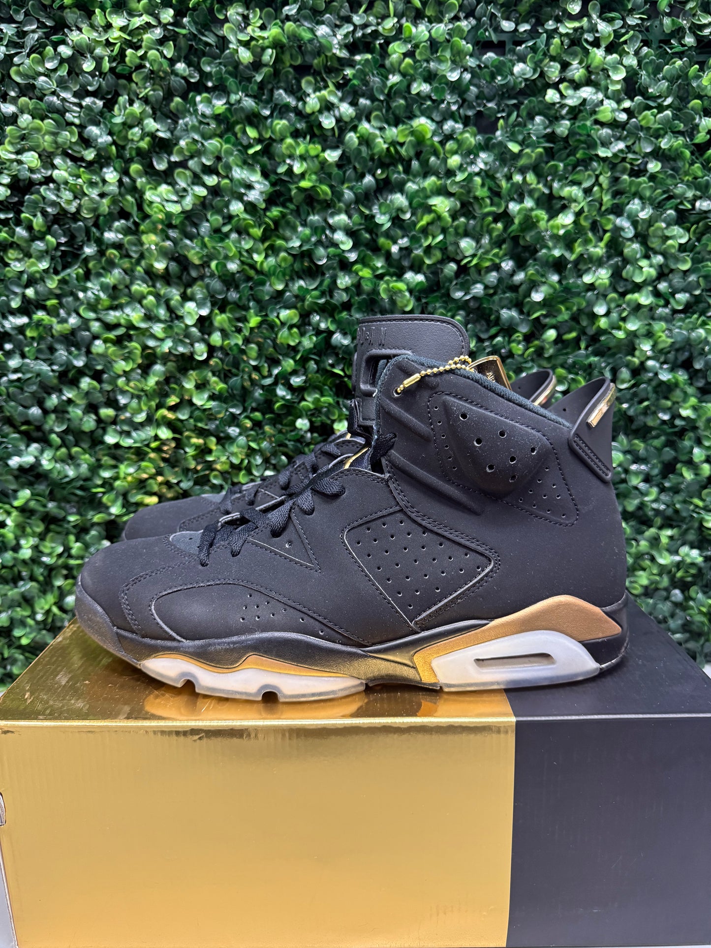 Jordan 6 "DMP" Size 10.5 Preowned
