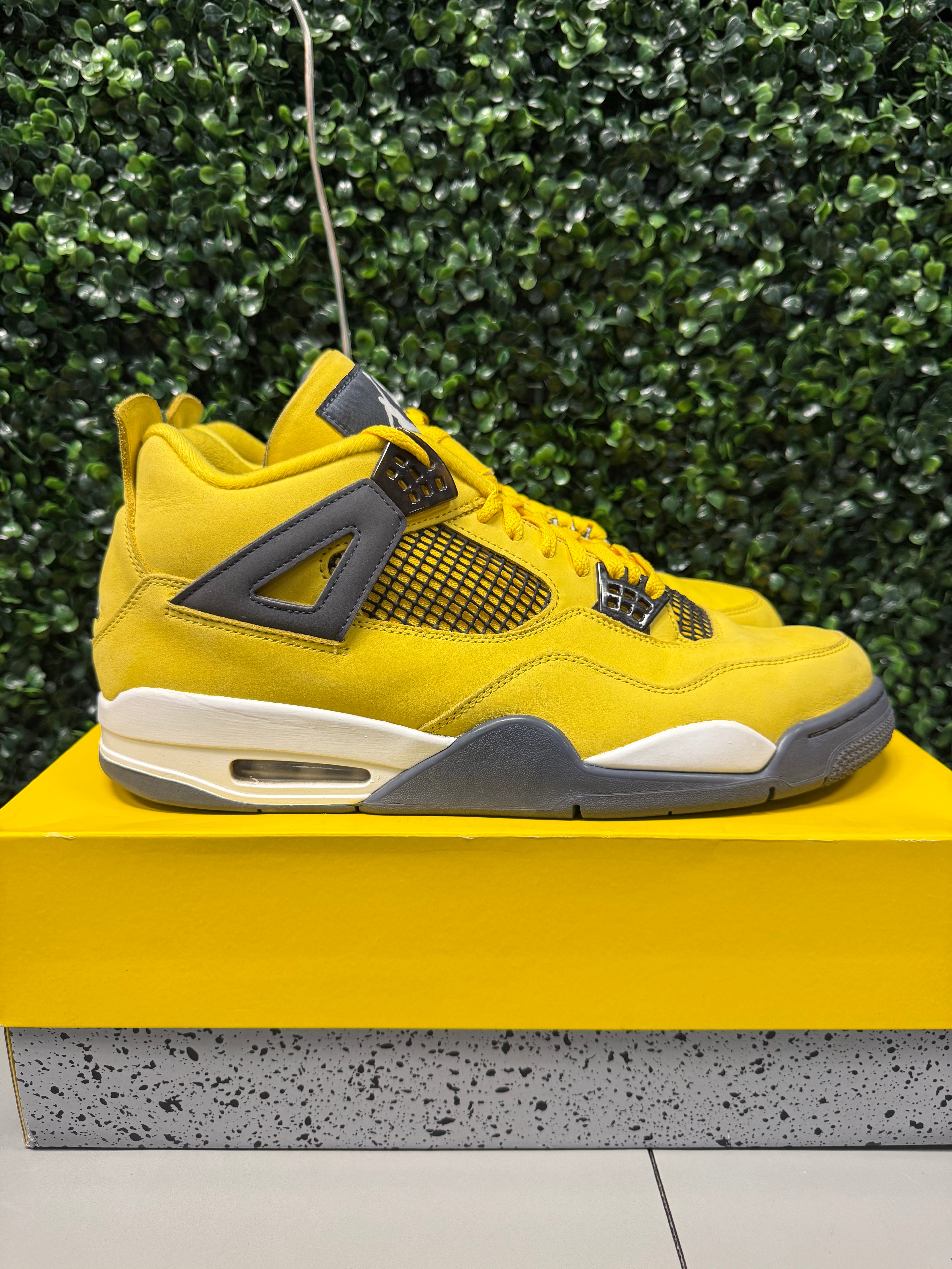 Jordan 4 "Lightning" Size 14 Preowned
