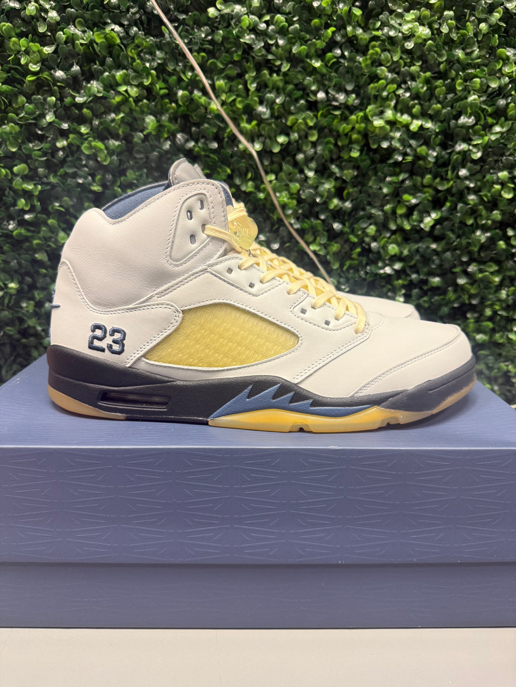 Jordan 5 X A Ma Maniere "Dawn" Size 14.5W / 13M Tried On