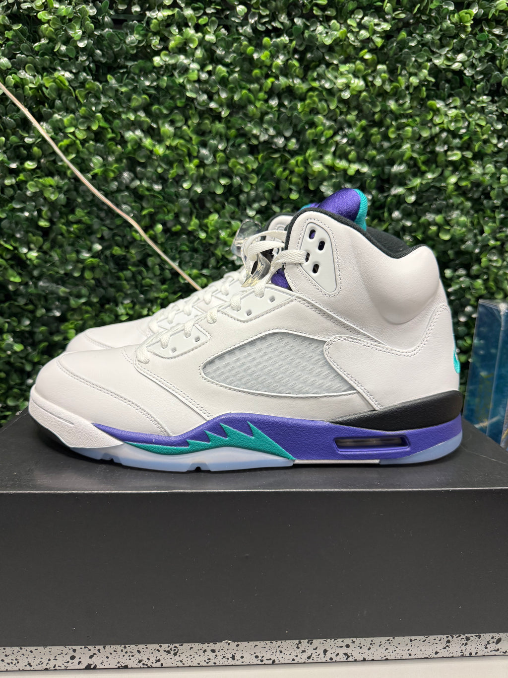 Jordan 5 "Grape" Size 13 Tried On