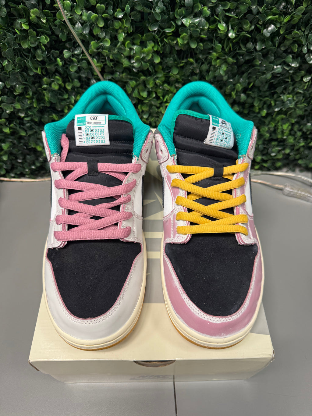 Nike SB Dunk Low "CSEF" Size 13 Preowned