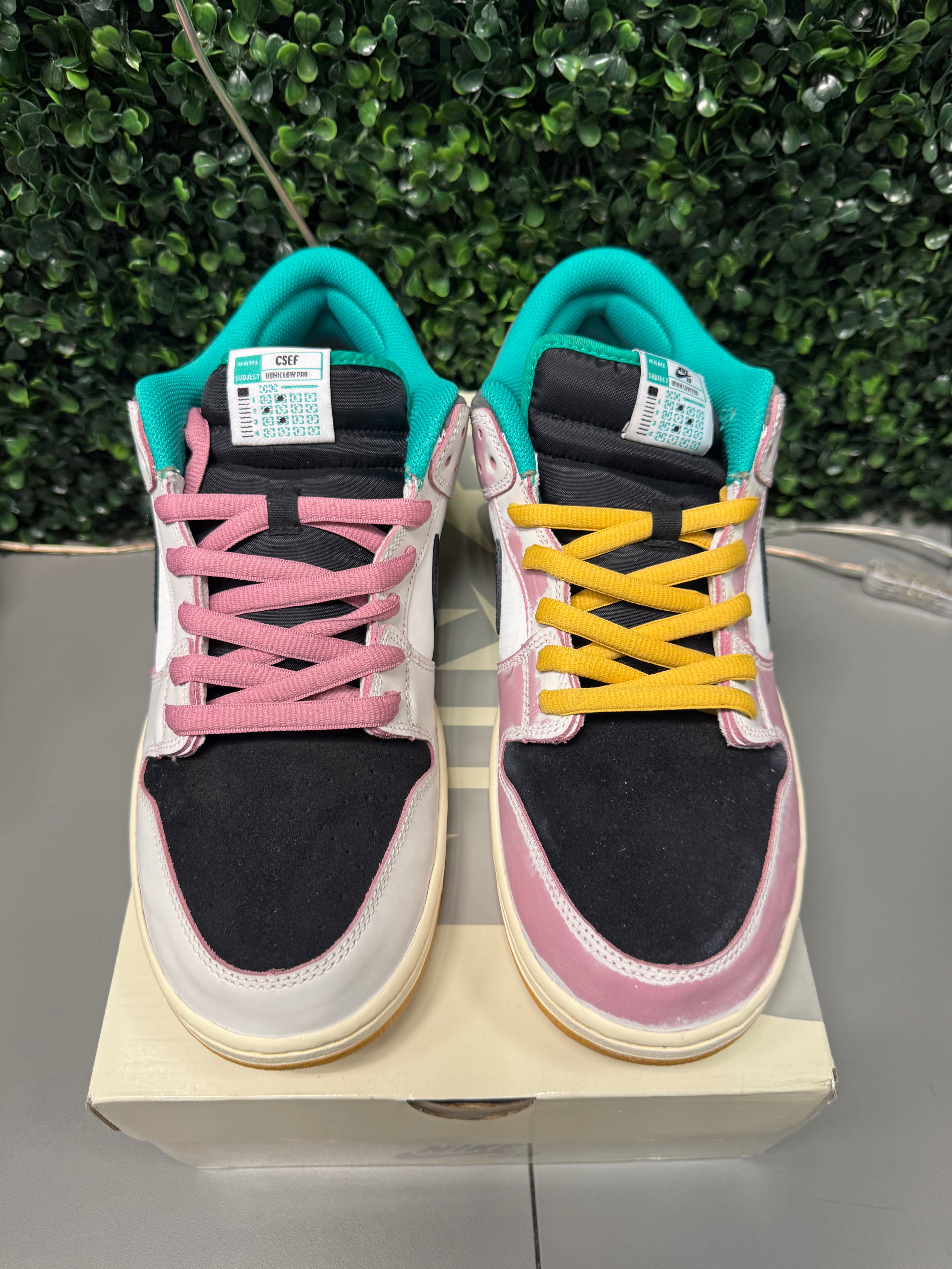 Nike SB Dunk Low "CSEF" Size 13 Preowned