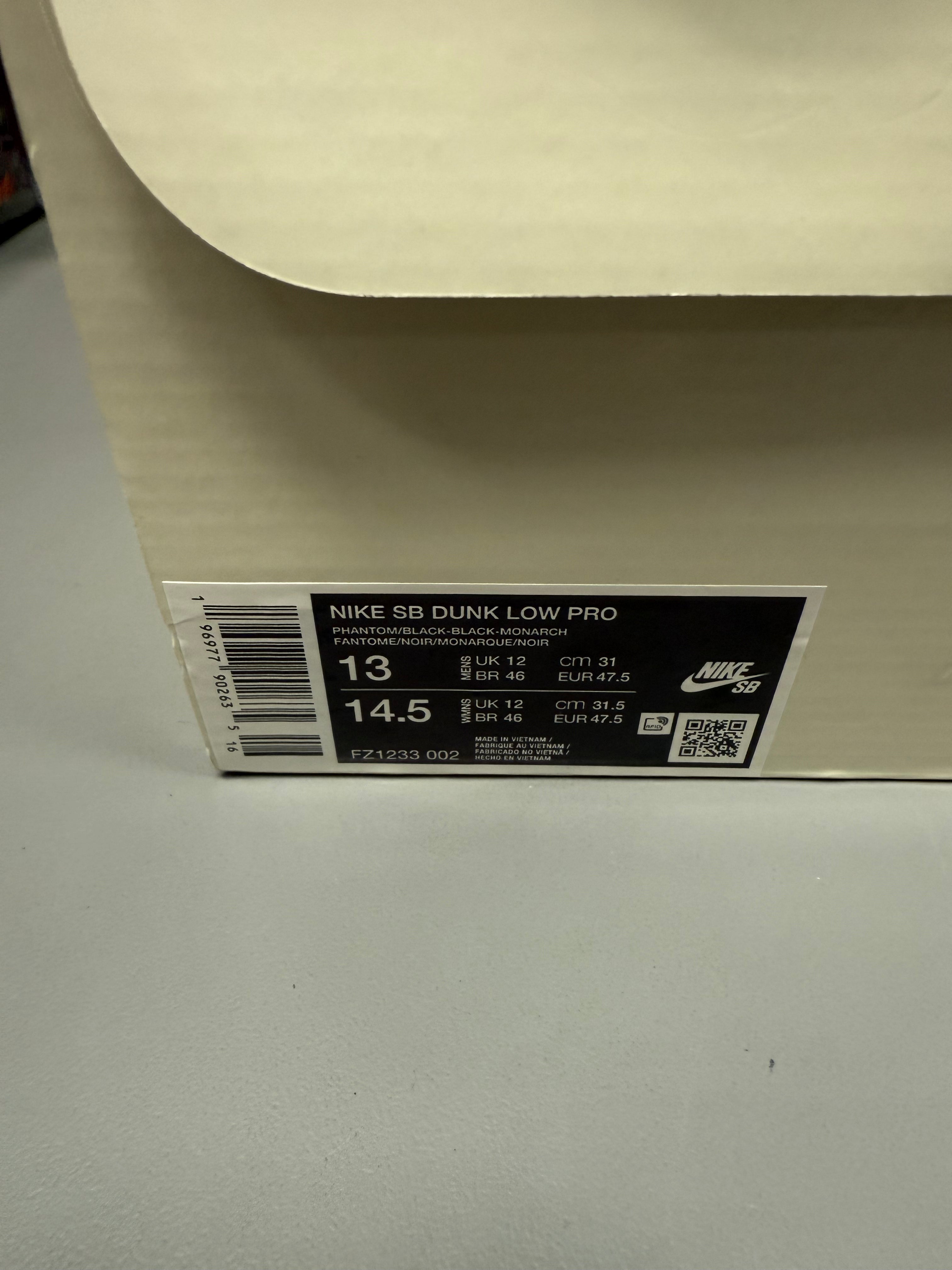 Nike SB Dunk Low "Trocadéro Gardens" Size 13 Preowned
