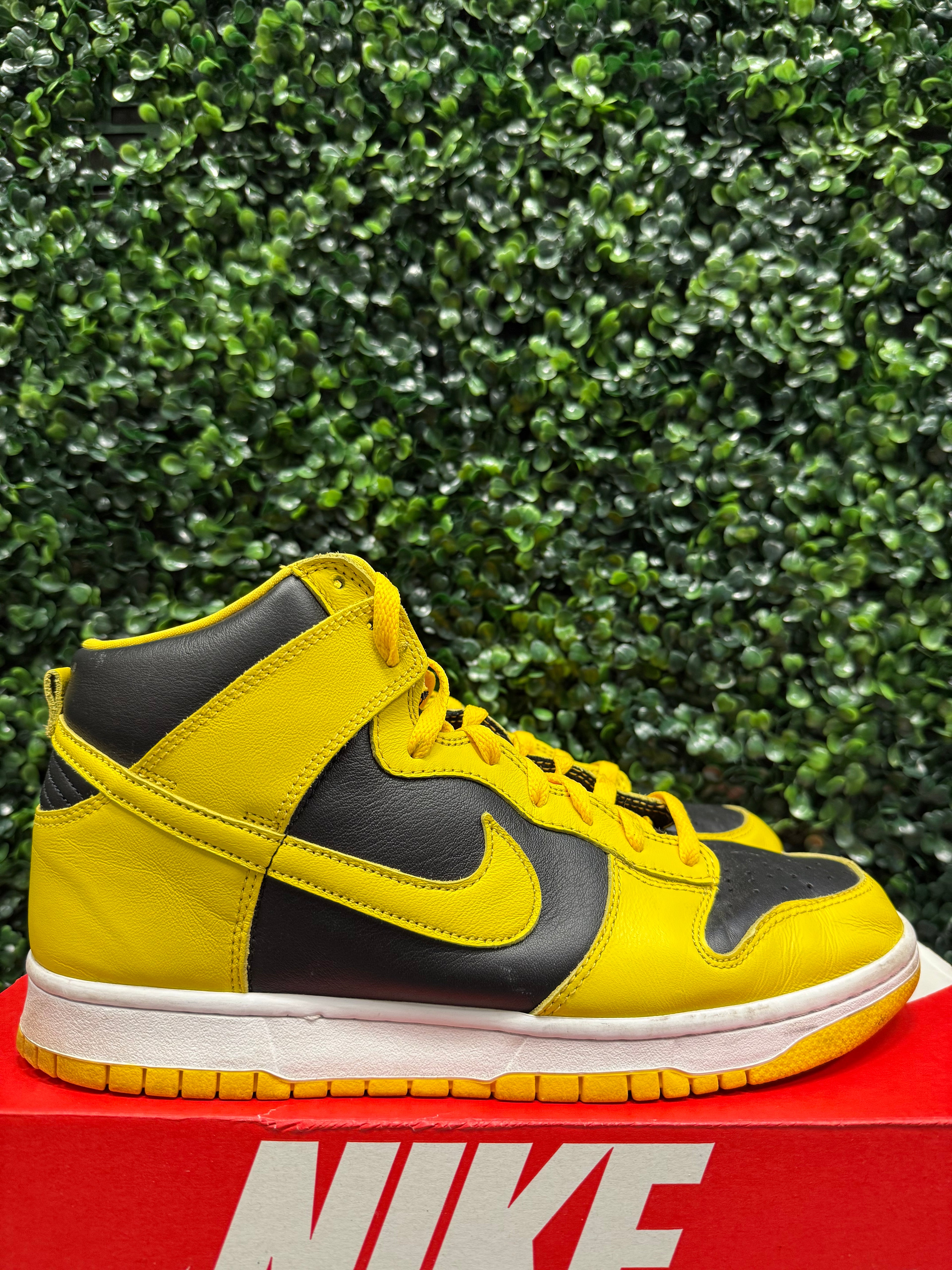 Nike Dunk High “Iowa” Size 10 Preowned