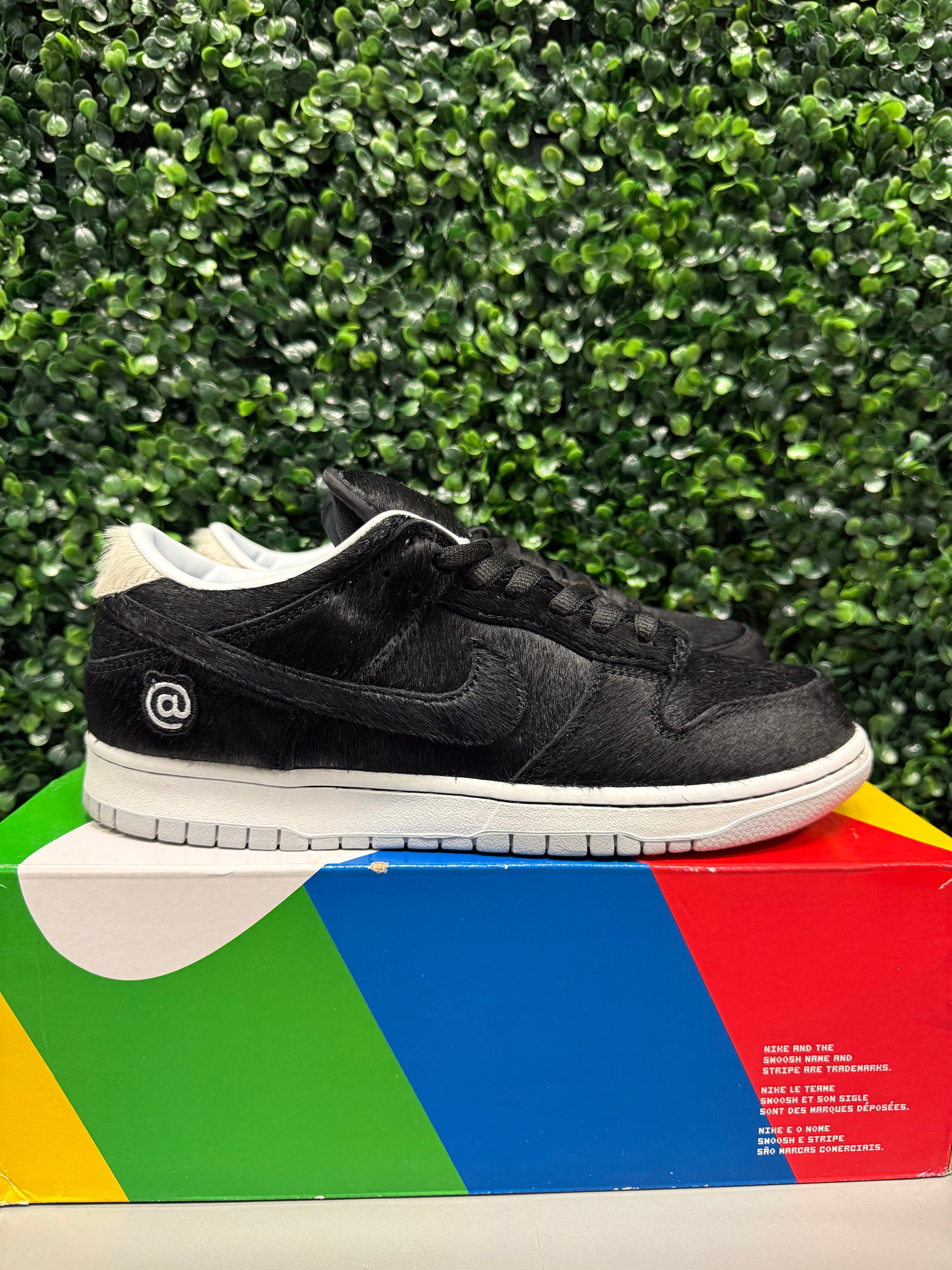 Nike SB Dunk Low "Medicom Toy" Size 10 Preowned