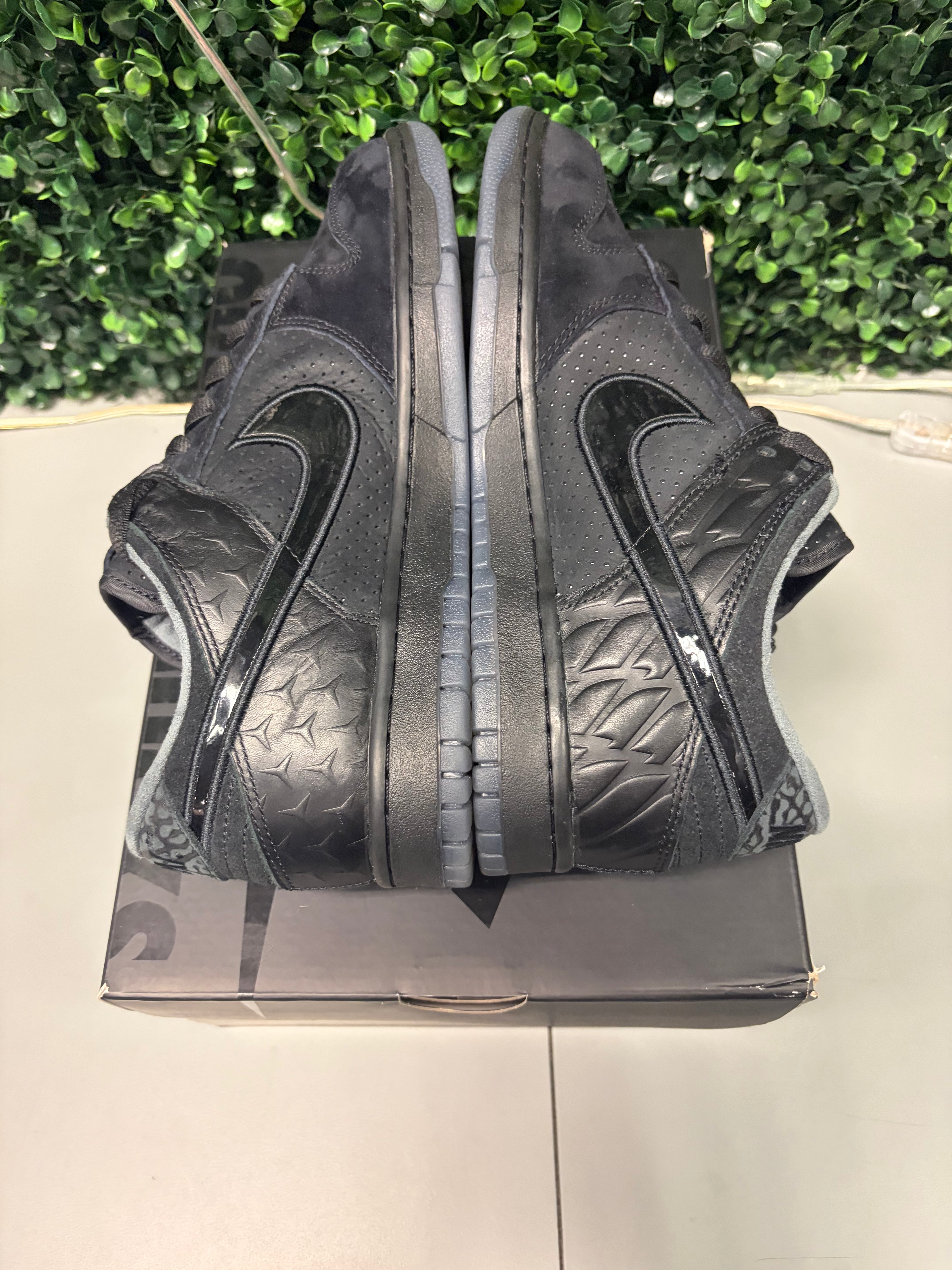 Nike Dunk Low "Ducks of a Feather Black University of Oregon PE" Size 8.5 Tried on