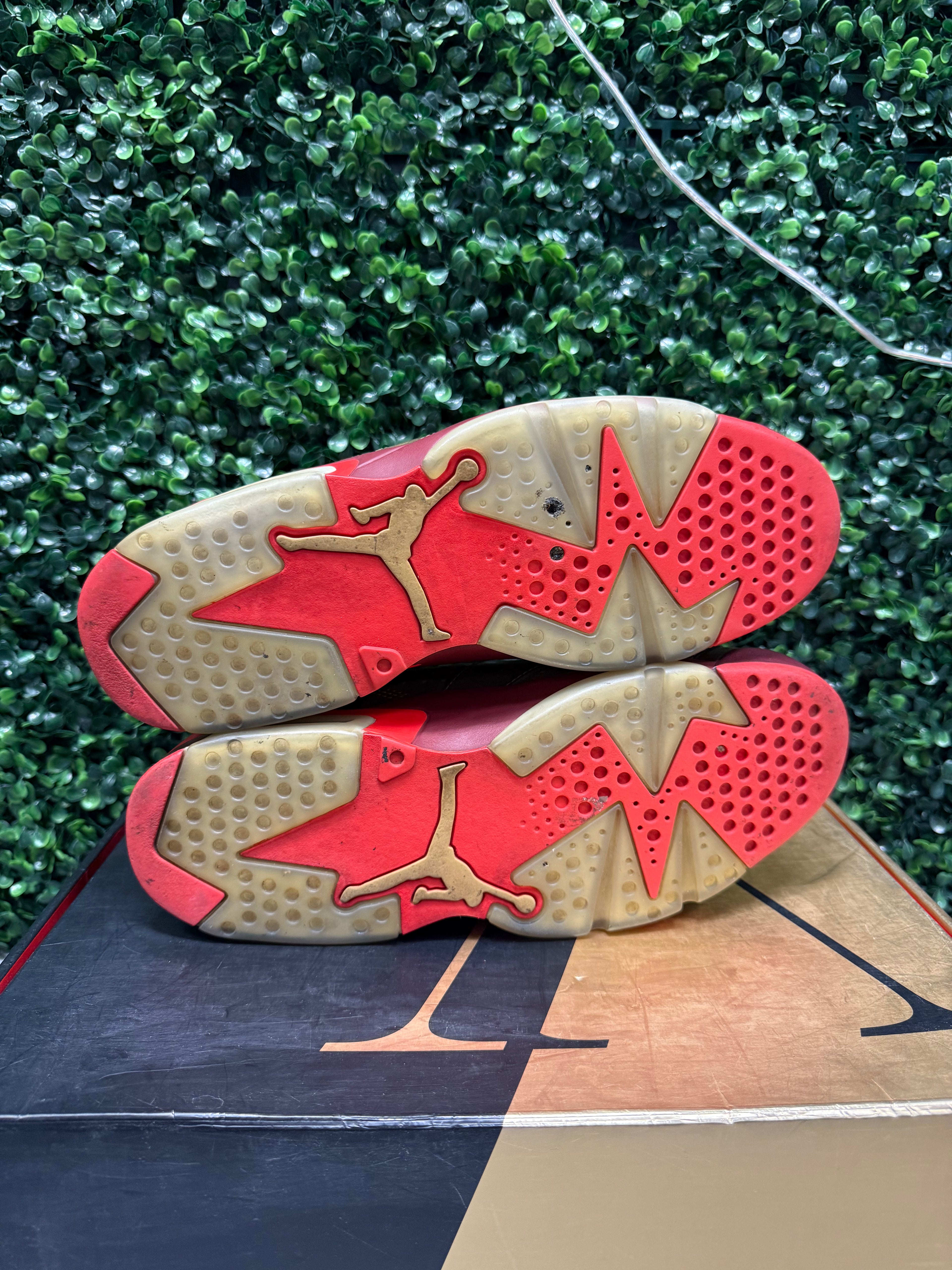 Jordan 6 "Cigar" Size 11 Preowned