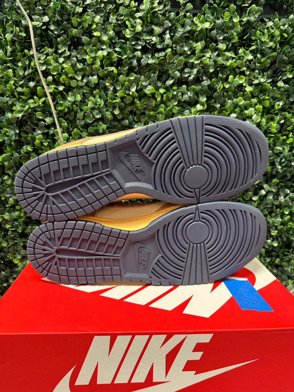 Nike Dunk Low "Sketch" Size 13 Preowned