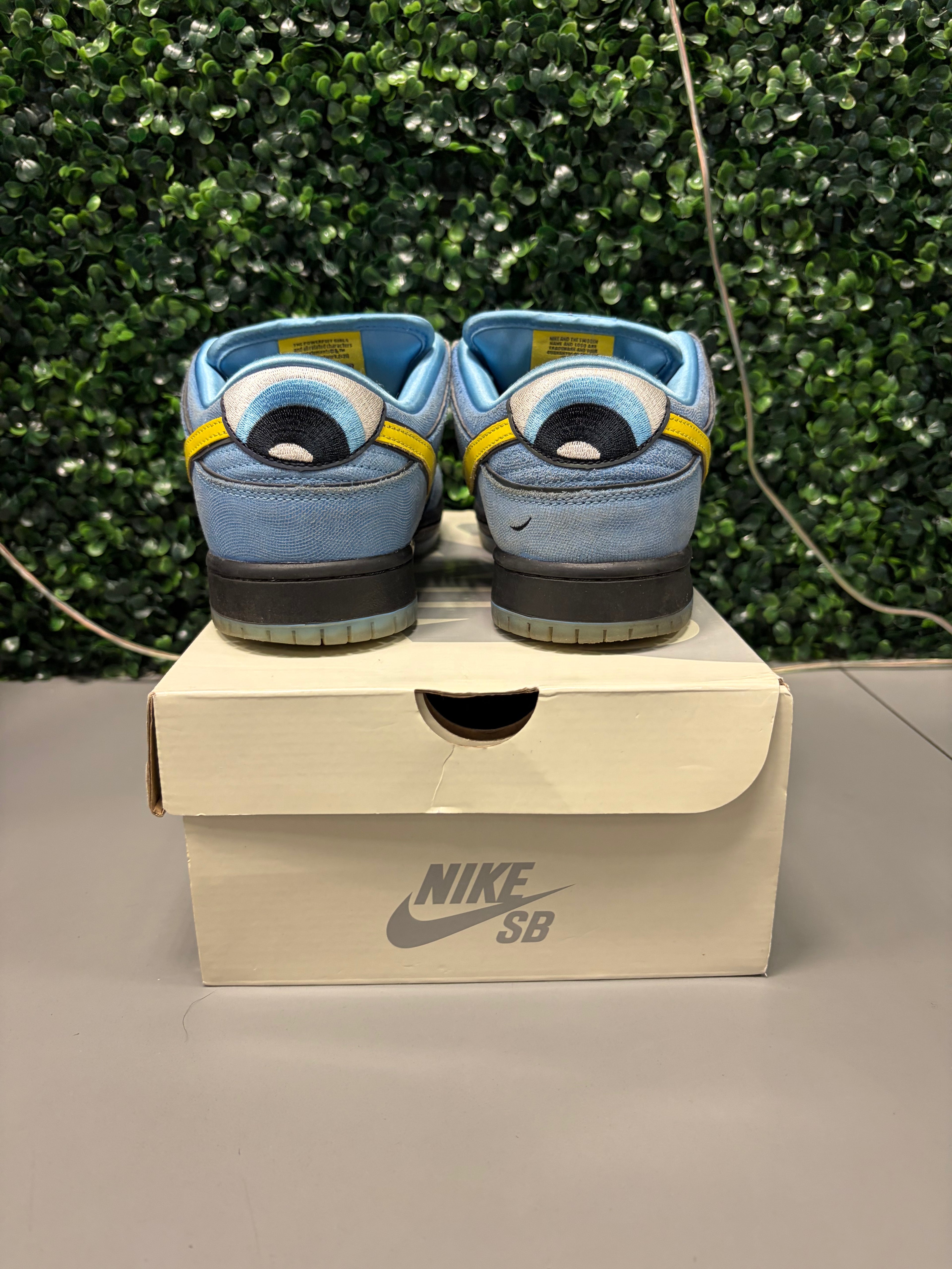 Nike SB Dunk Low "The Powerpuff Girls Bubbles" Size 9 Preowned