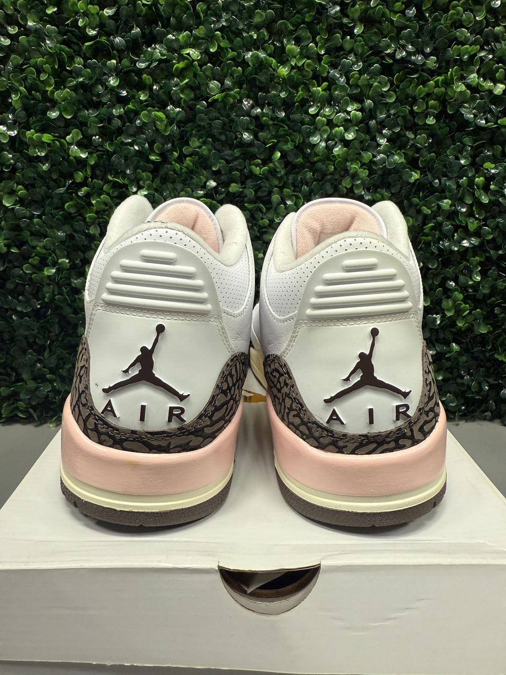 Jordan 3 "Neapolitan" Size 12W / 10.5M Preowned