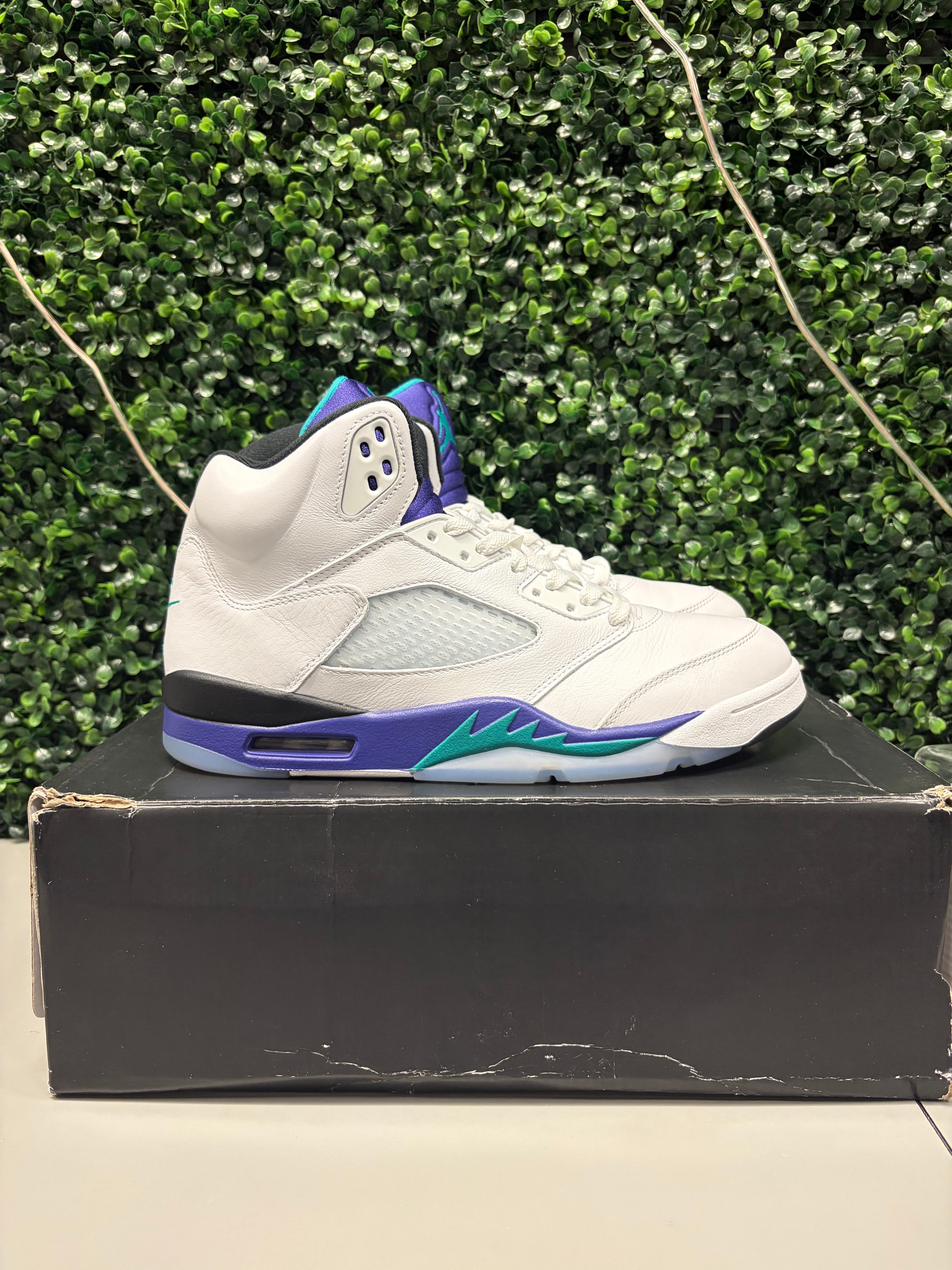 Jordan 5 Retro "Grape" Size 10.5 Preowned