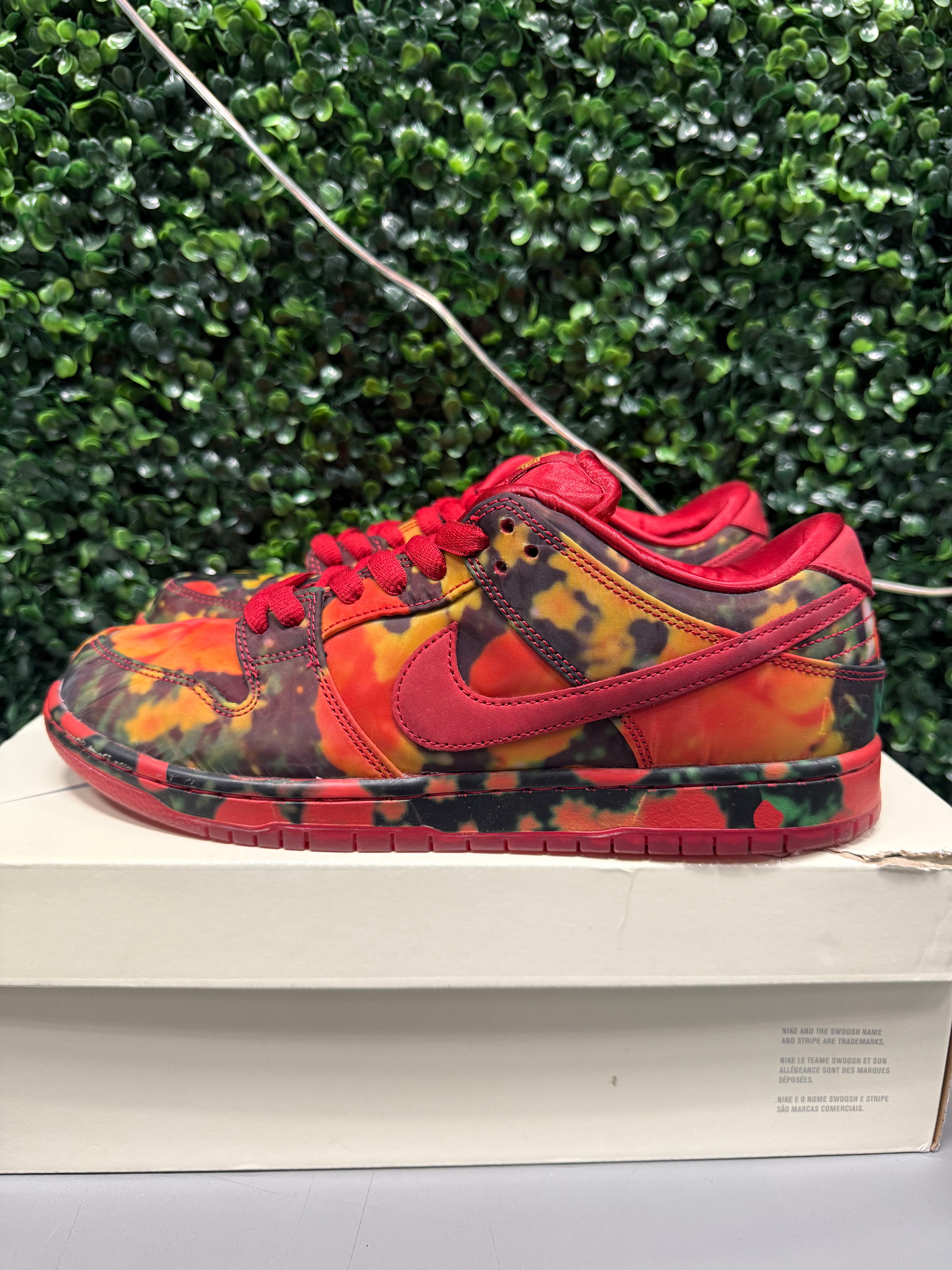 Nike SB Dunk Low "Wizard Of Oz" Size 10.5 Preowned