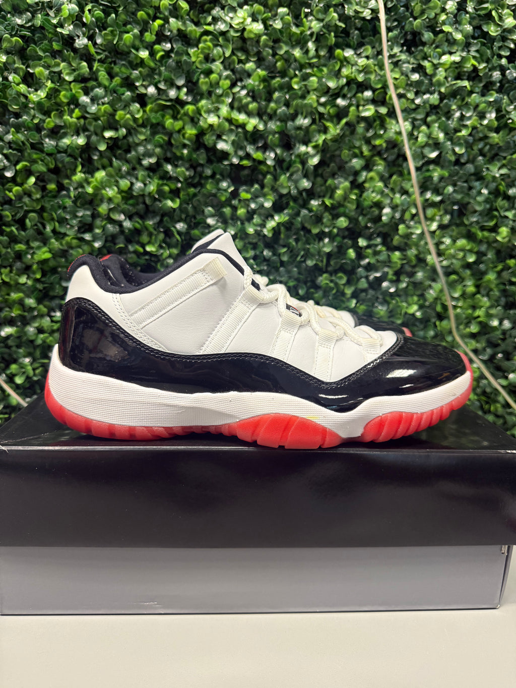 Jordan 11 Low "Concord Bred" Size 10 Preowned