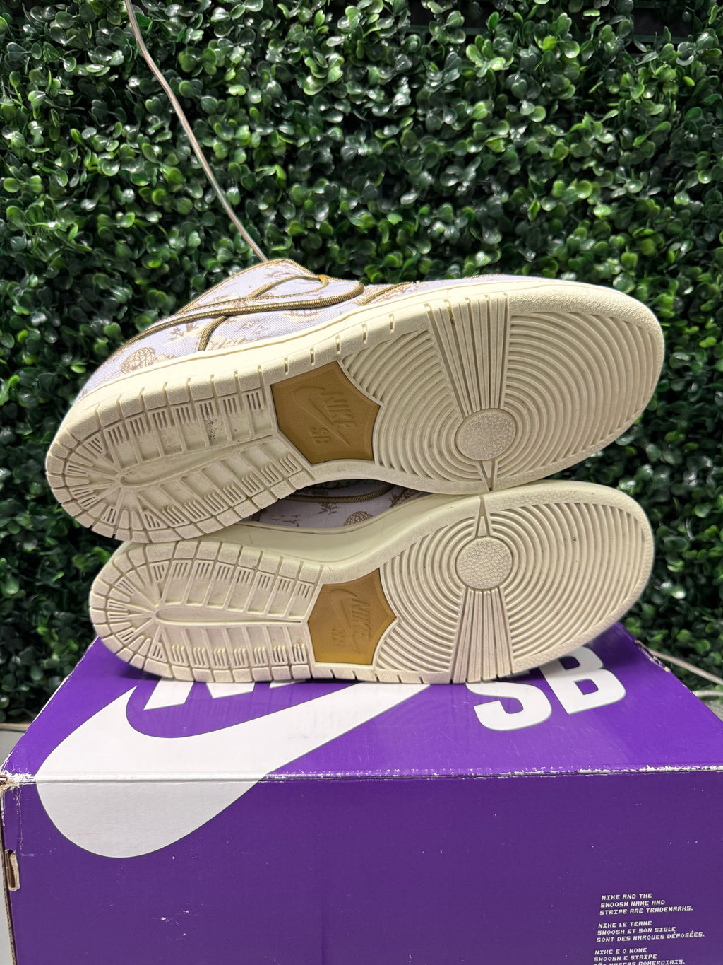 Nike SB Dunk Low "City Of Style" Size 11 Preowned