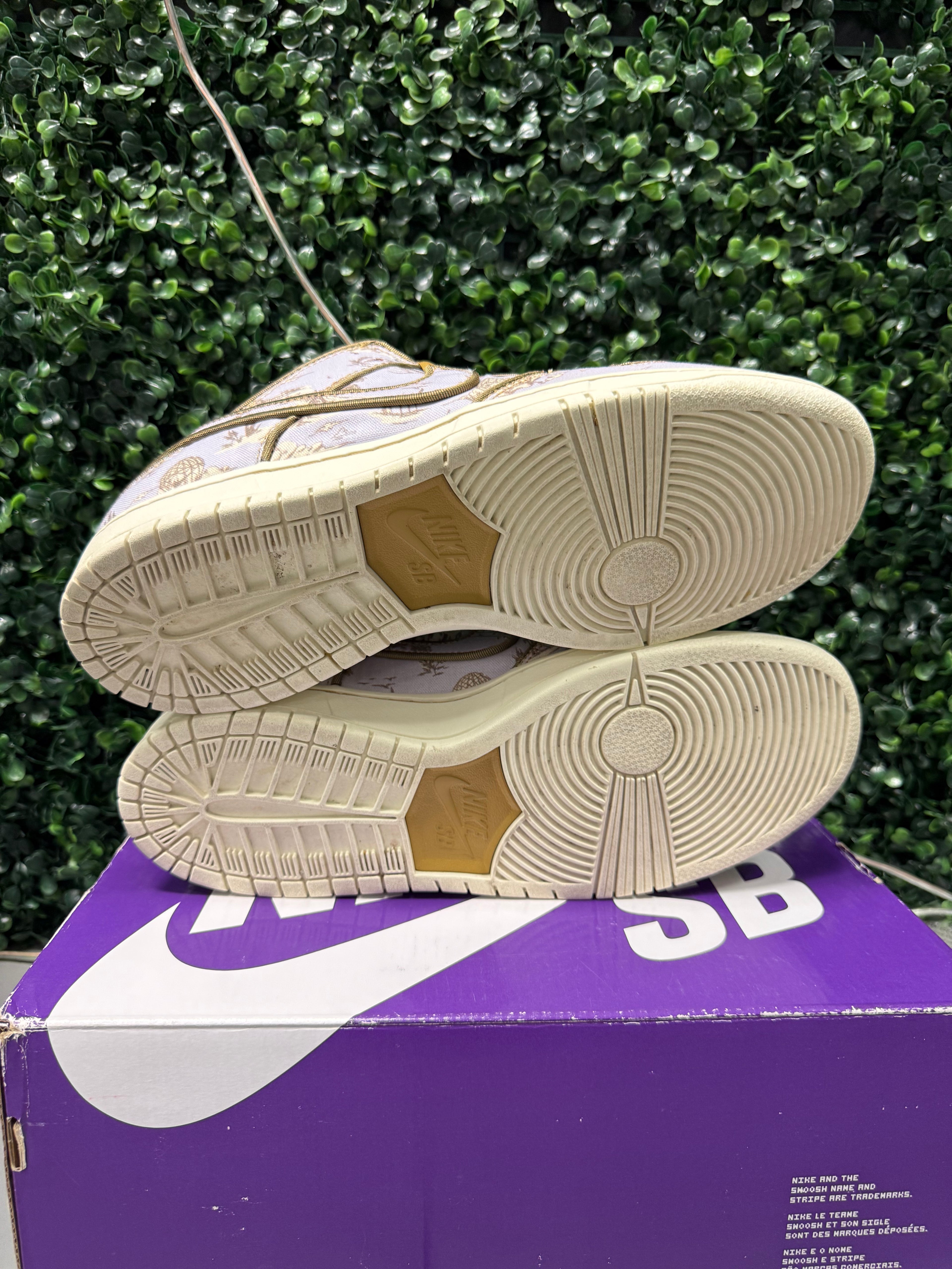 Nike SB Dunk Low "City Of Style" Size 11 Preowned