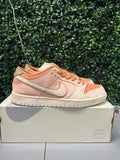 Nike SB Dunk Low "Trocadéro Gardens" Size 13 Preowned