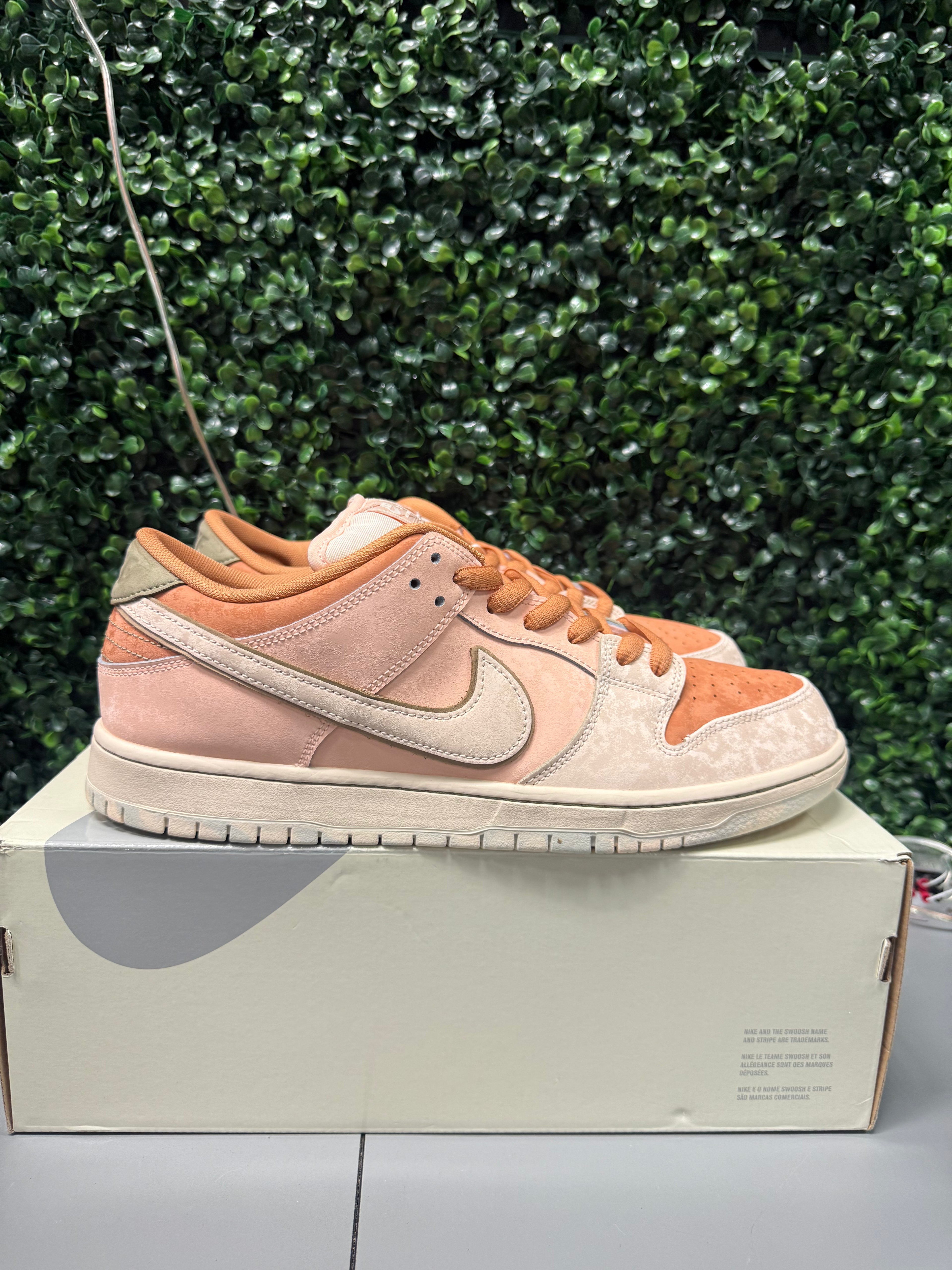Nike SB Dunk Low "Trocadéro Gardens" Size 13 Preowned