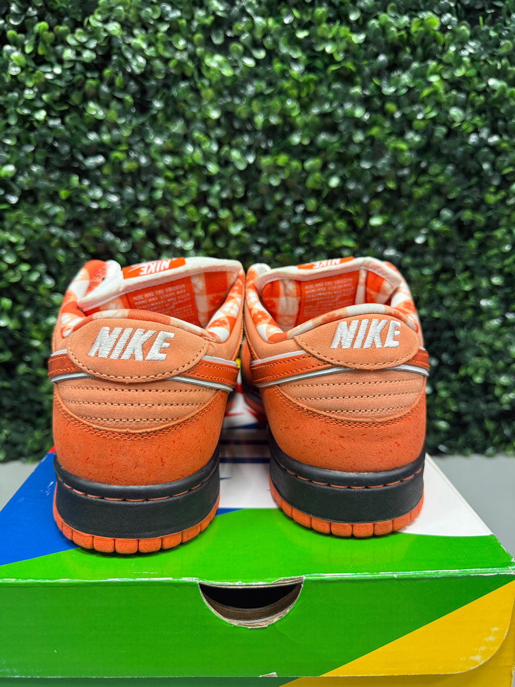 Nike SB Dunk Low "Orange Lobster" Size 10 Preowned