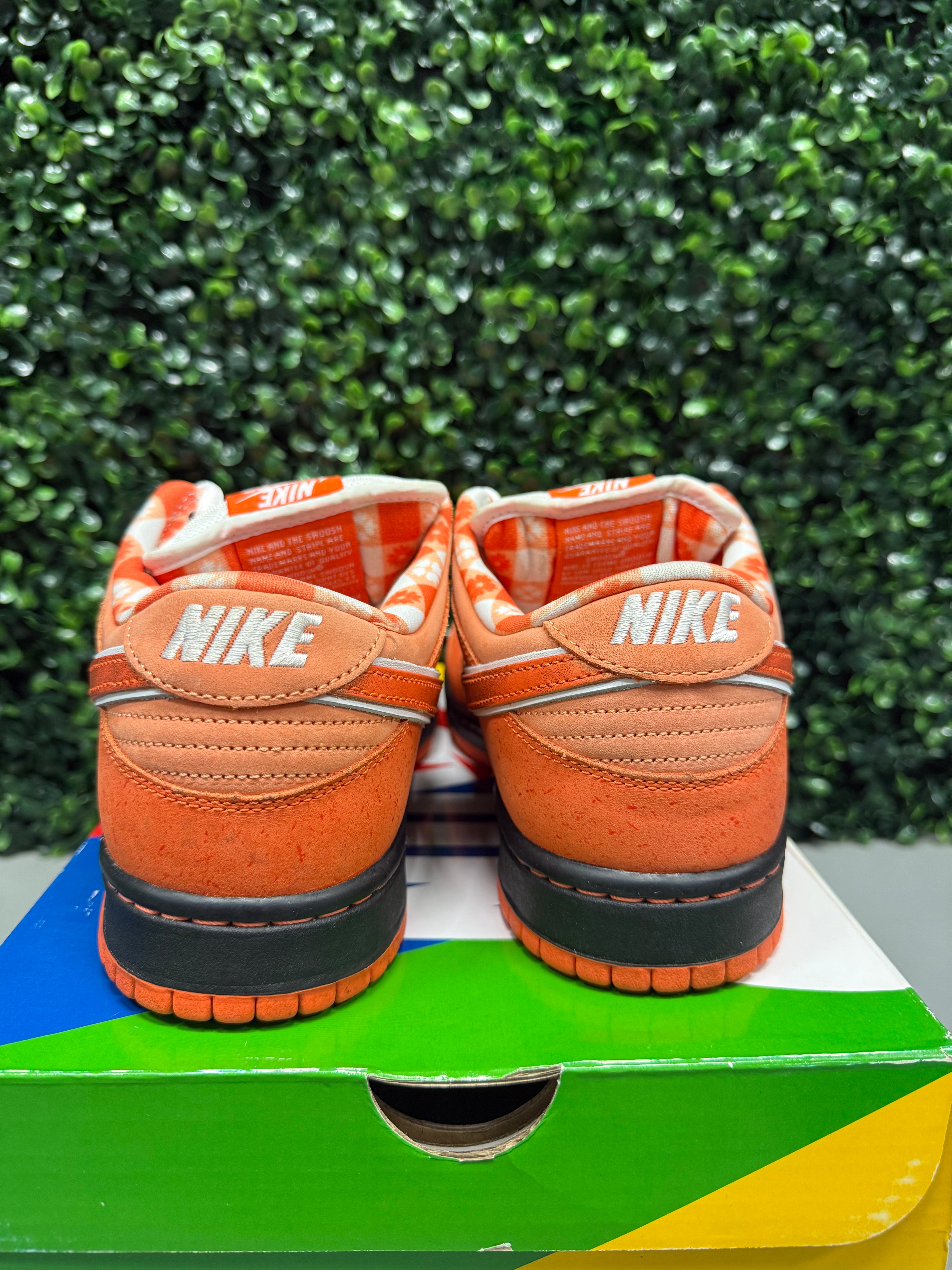 Nike SB Dunk Low "Orange Lobster" Size 10 Preowned